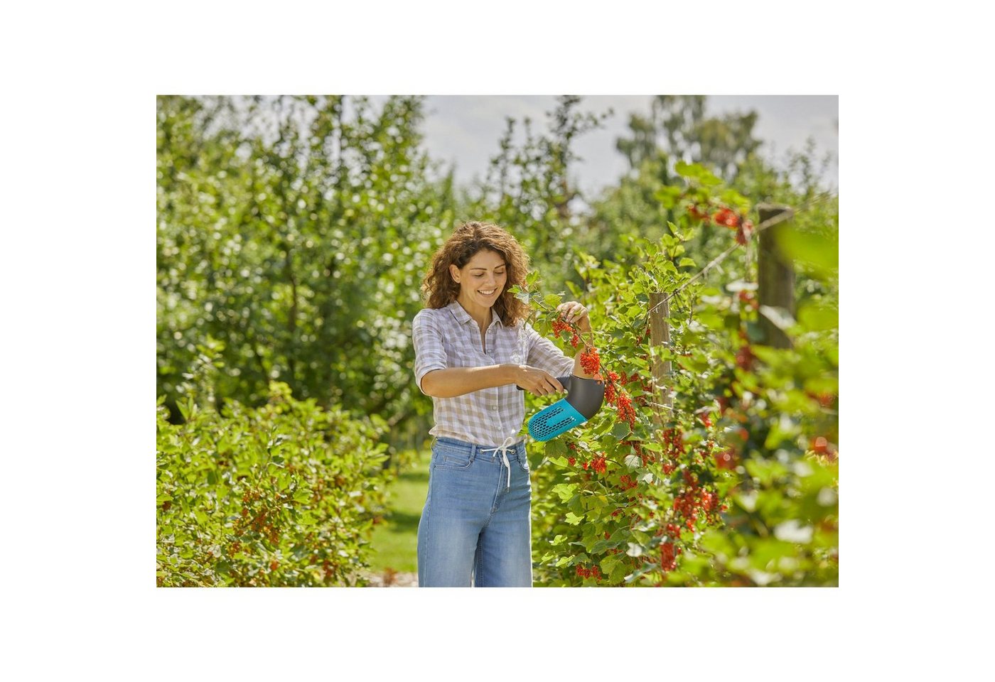 Thumbnail - GARDENA Strauchschere GARDENA combisystem Beerensammler, Obstpflücker