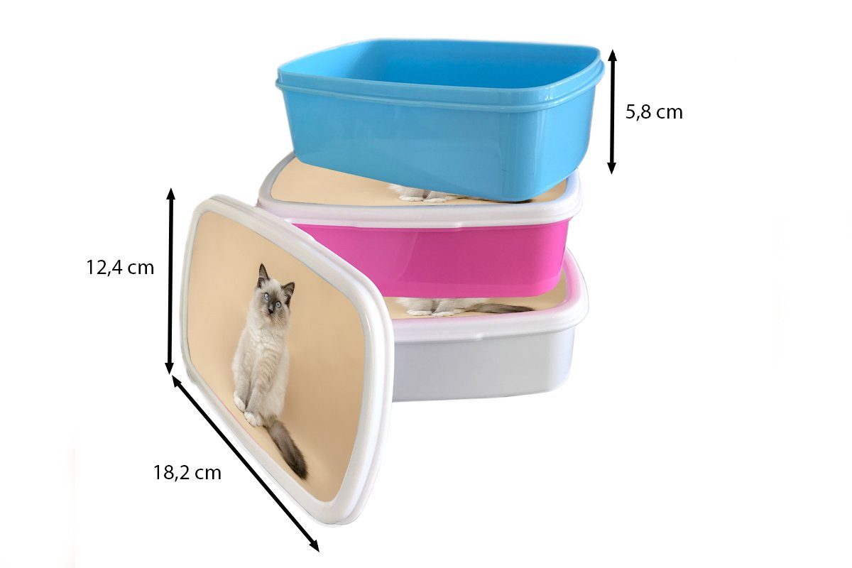 MuchoWow Lunchbox Katze - Kinder, Kunststoff, Mädchen, rosa Mädchen Kinder, Porträt Jungen Snackbox, - - Brotbox für (2-tlg), Kinder - Siamese Kunststoff Erwachsene, Brotdose - 