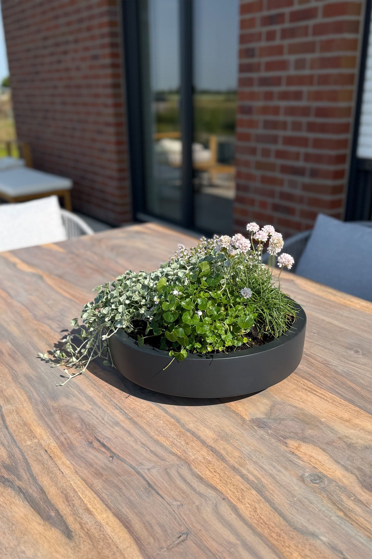 VIVANNO Pflanzschale Fiberglas ESCADA LOW Schale - Anthrazit Matt (1 St), 37x37x10 cm