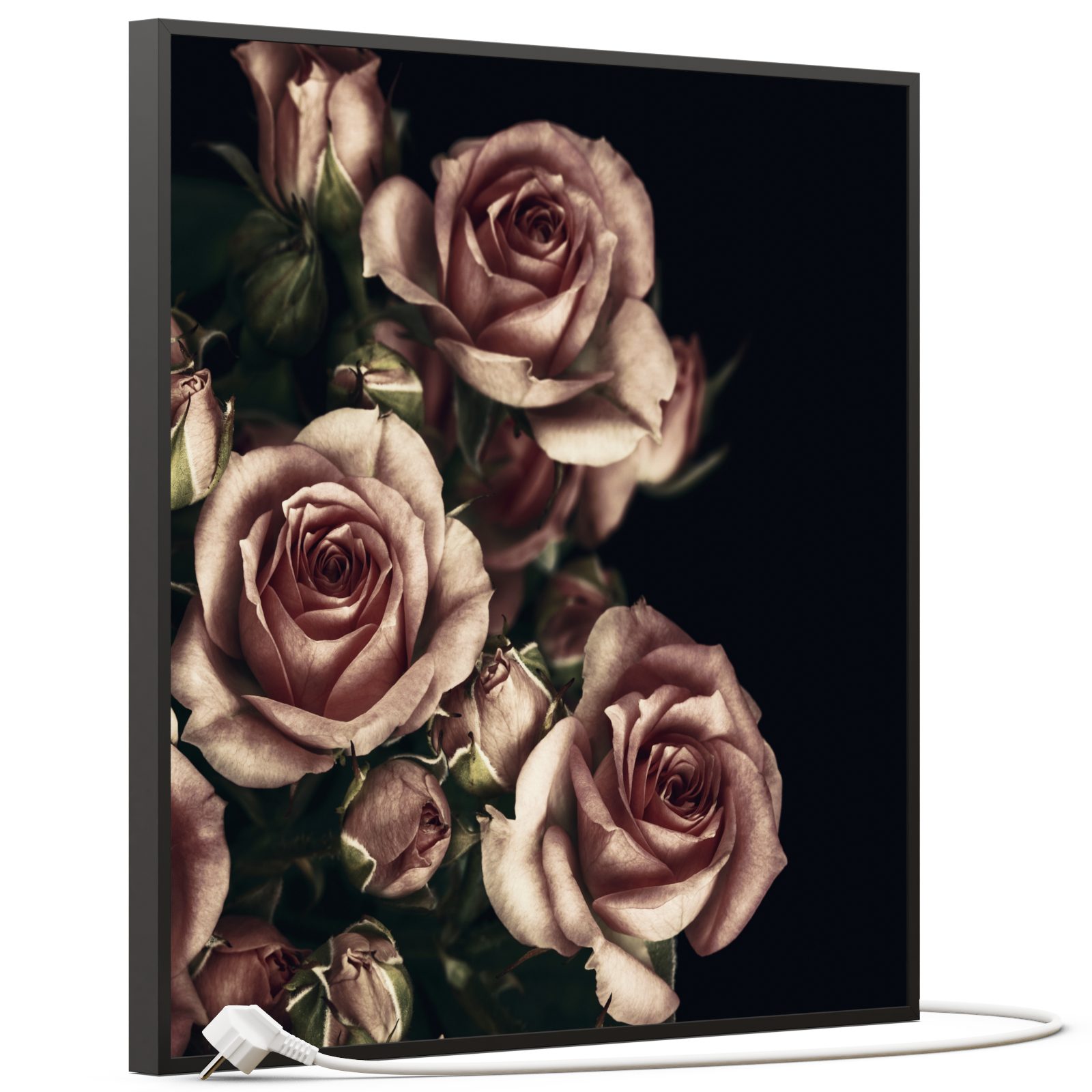 STEINFELD Heizsysteme Infrarotheizung, Bild, 350W 60x60cm, günstig online kaufen