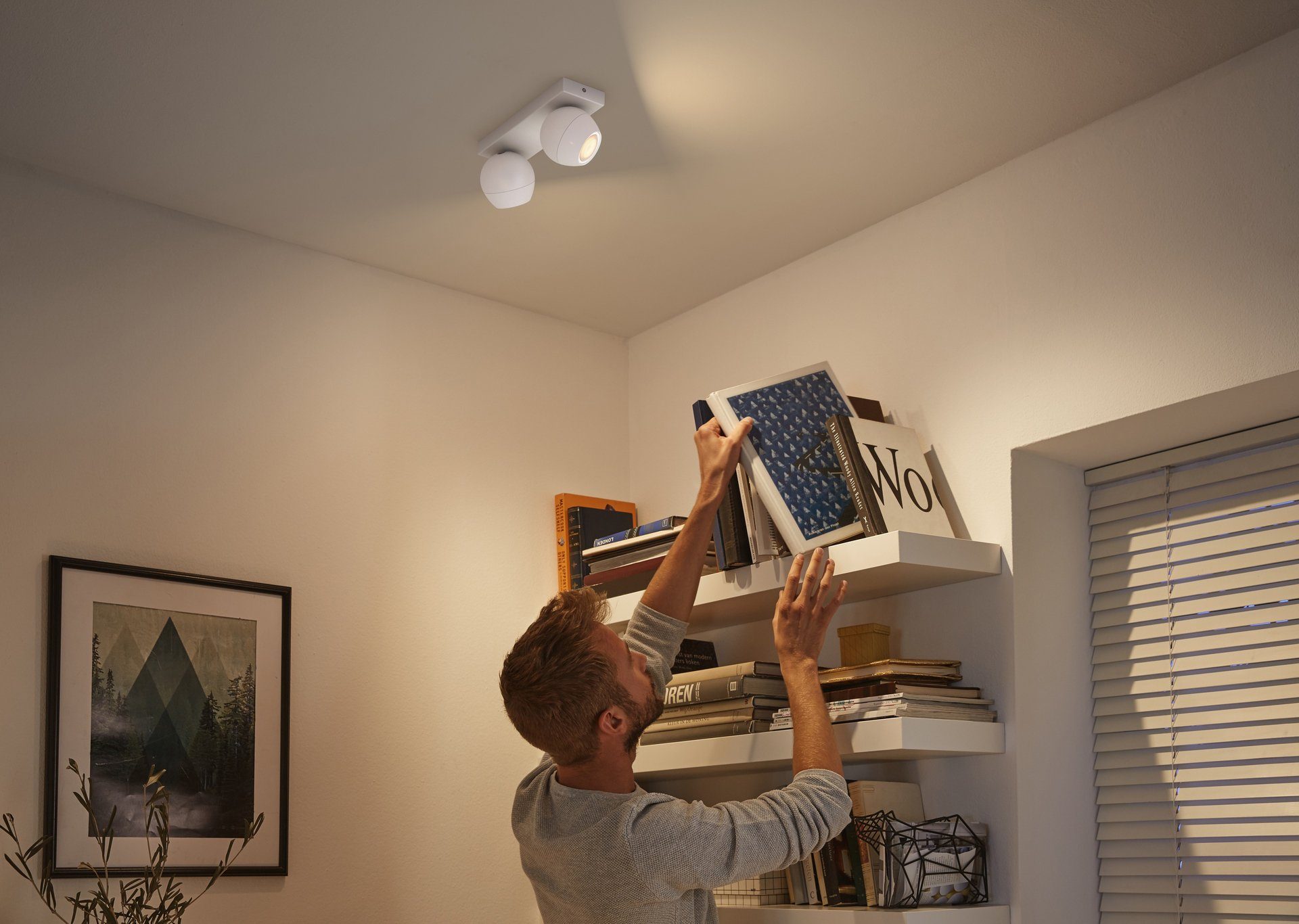 Philips Hue LED Flutlichtstrahler Leuchtmittel wechselbar, Buckram, Warmweiß Dimmfunktion