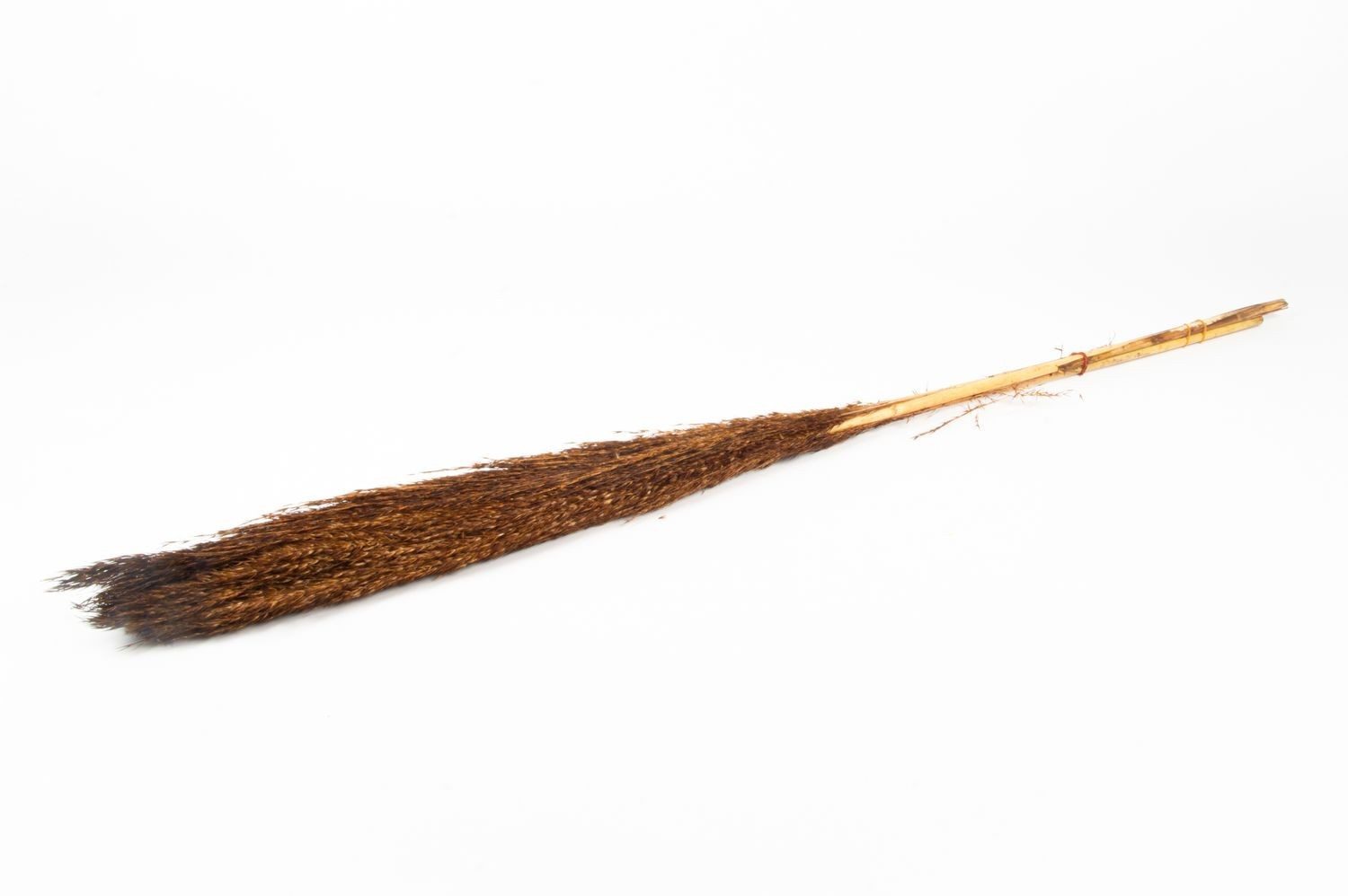 Trockenblume Schilf getrocknet DONJETA, braun, 115-120cm, Ø15cm, INNA-Glas, Höhe 120.0 cm