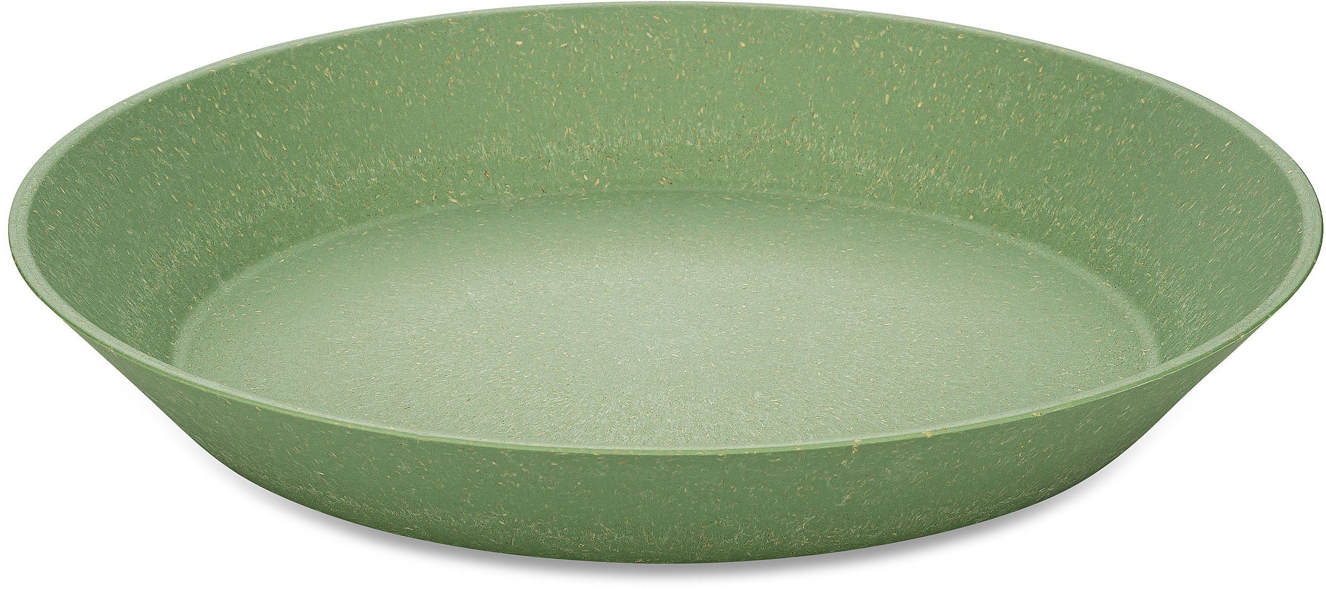 Suppenteller CONNECT PLATE