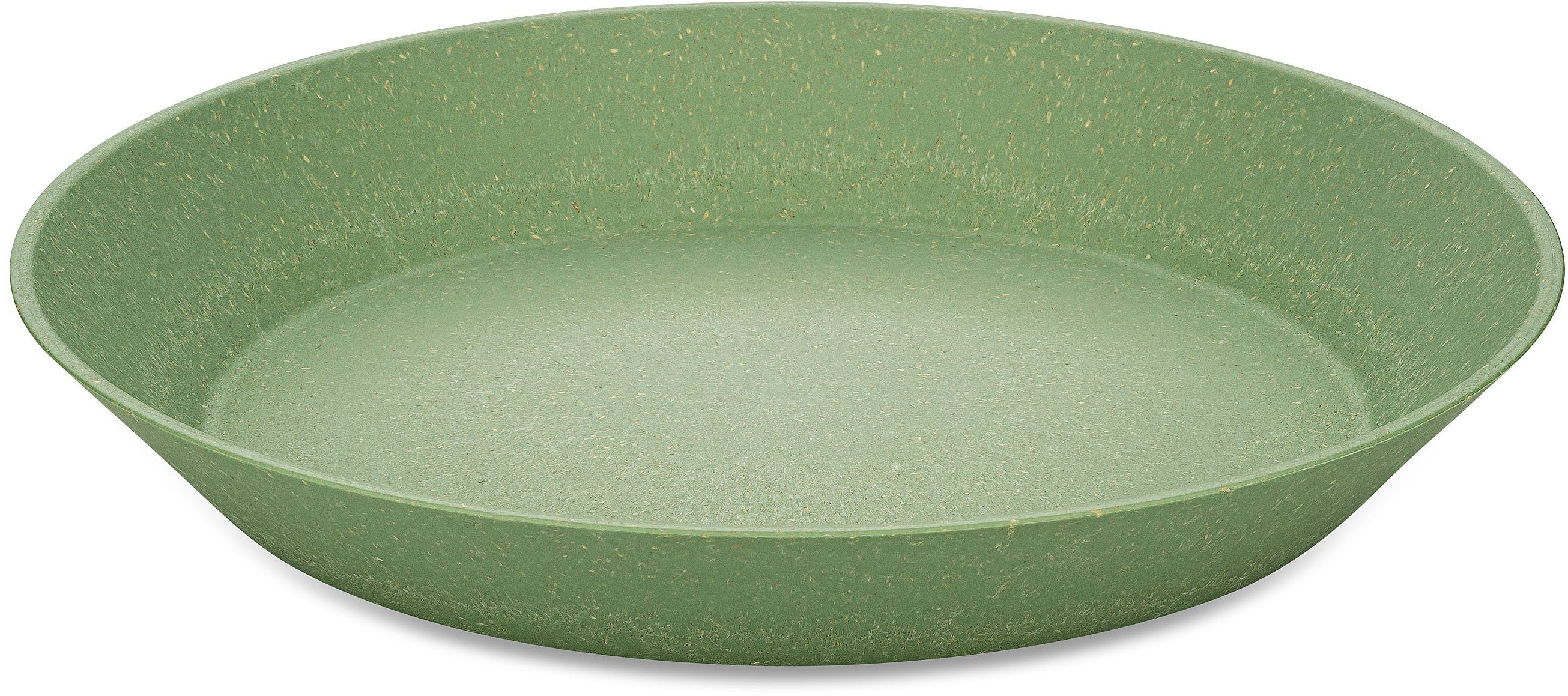 KOZIOL Suppenteller CONNECT PLATE, (4 St), biozirkuläremKunststoff+FSCHolz,spülmaschinengeeignet,melaminfrei,24cm grün