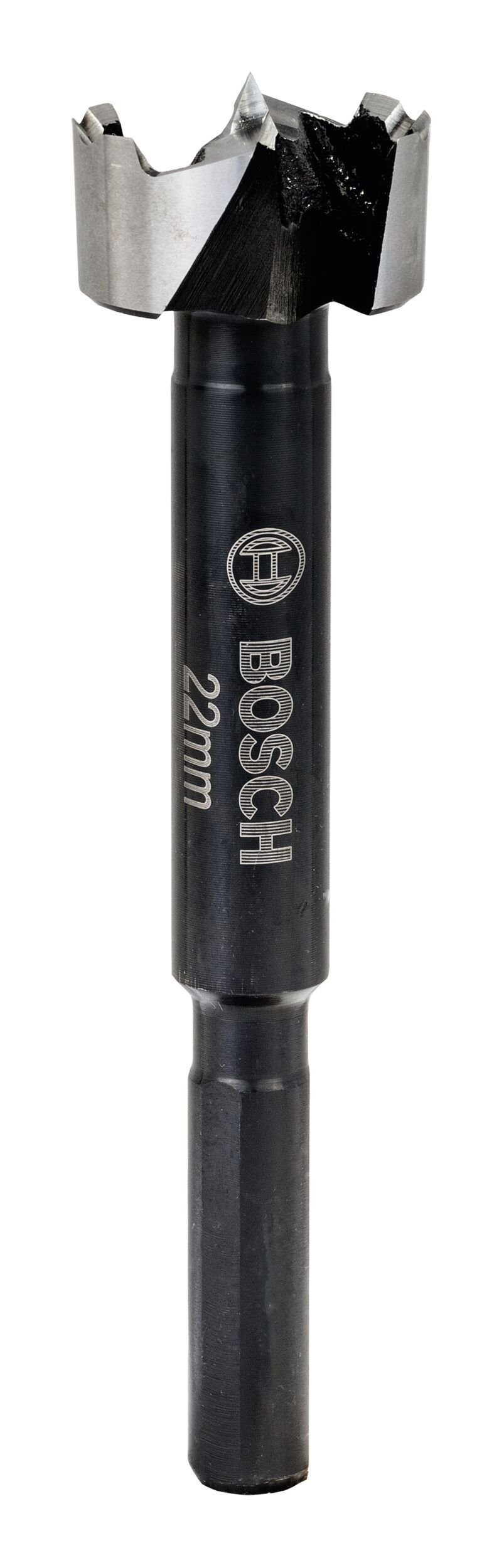Holzbohrer