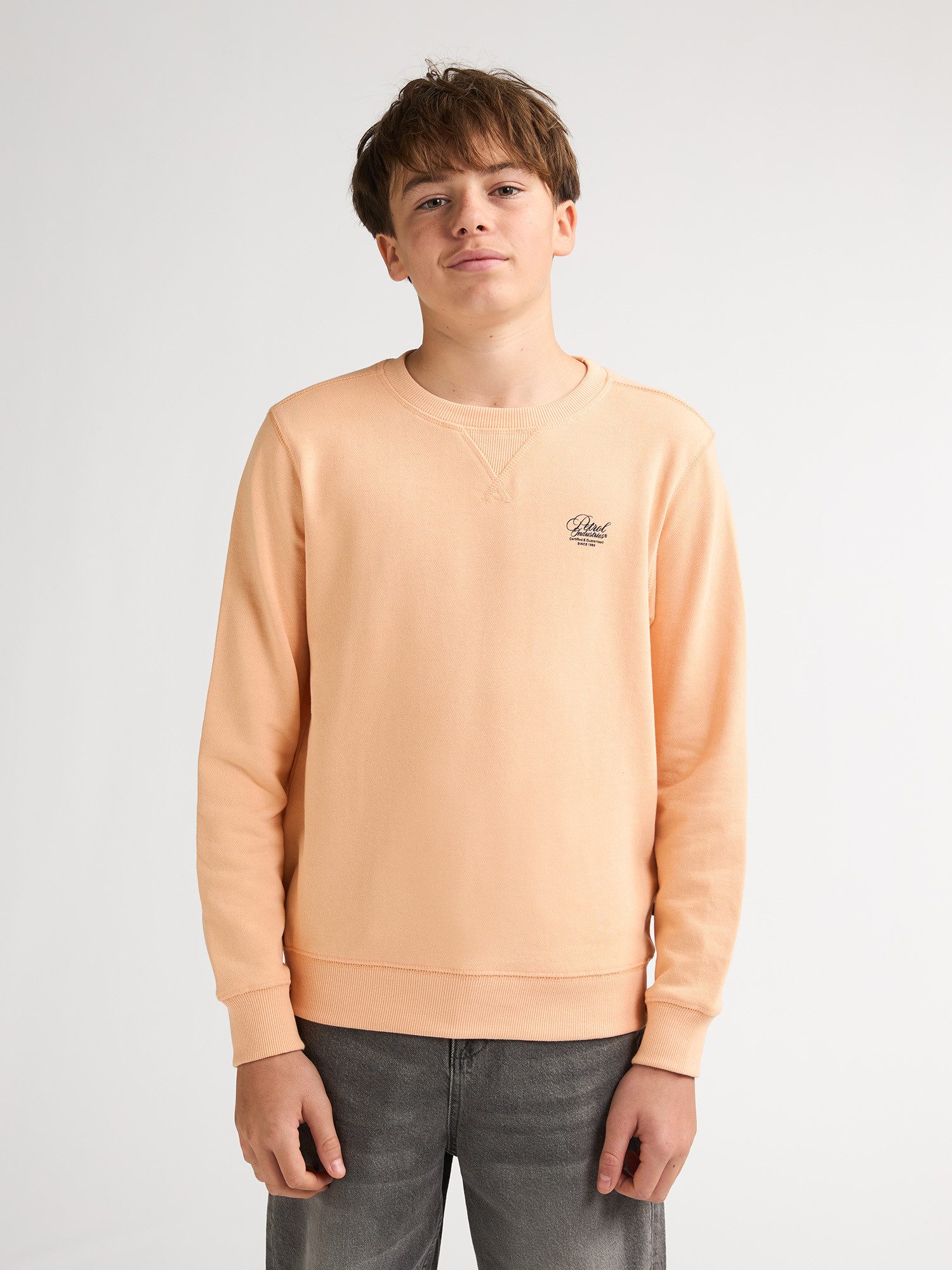 Sweatshirt Ocotillo