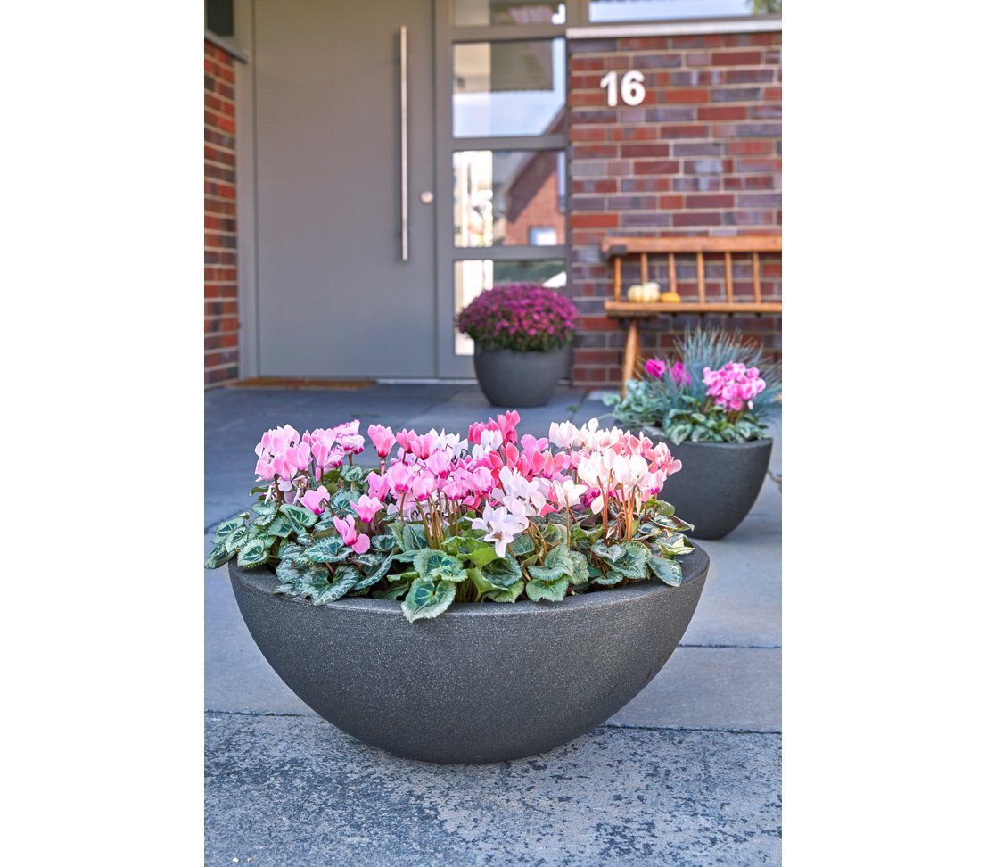 Dehner Blumentopf Kugelschale, Ø 52 cm, Höhe 20 cm, Kunststoff, frostbeständig, für Pflanzen, Miniteich oder Deko