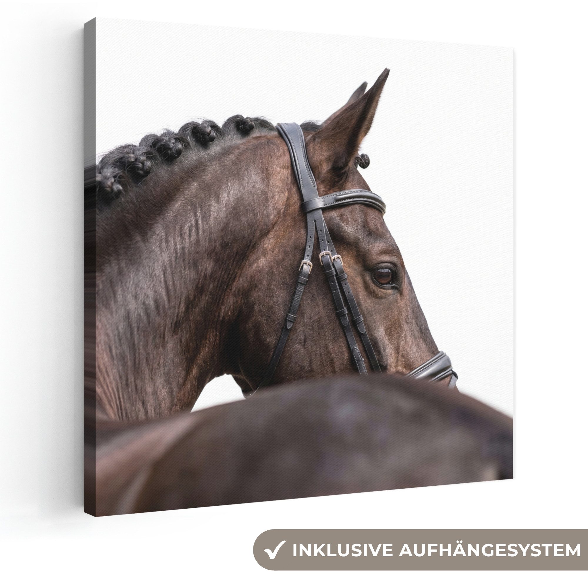 OneMillionCanvasses® Leinwandbild Porträt - Pferd - Elegant, Fotodruck (1 St), Wandbild, Deko Schlafzimmer Wohnzimmer Flur 20x20 cm