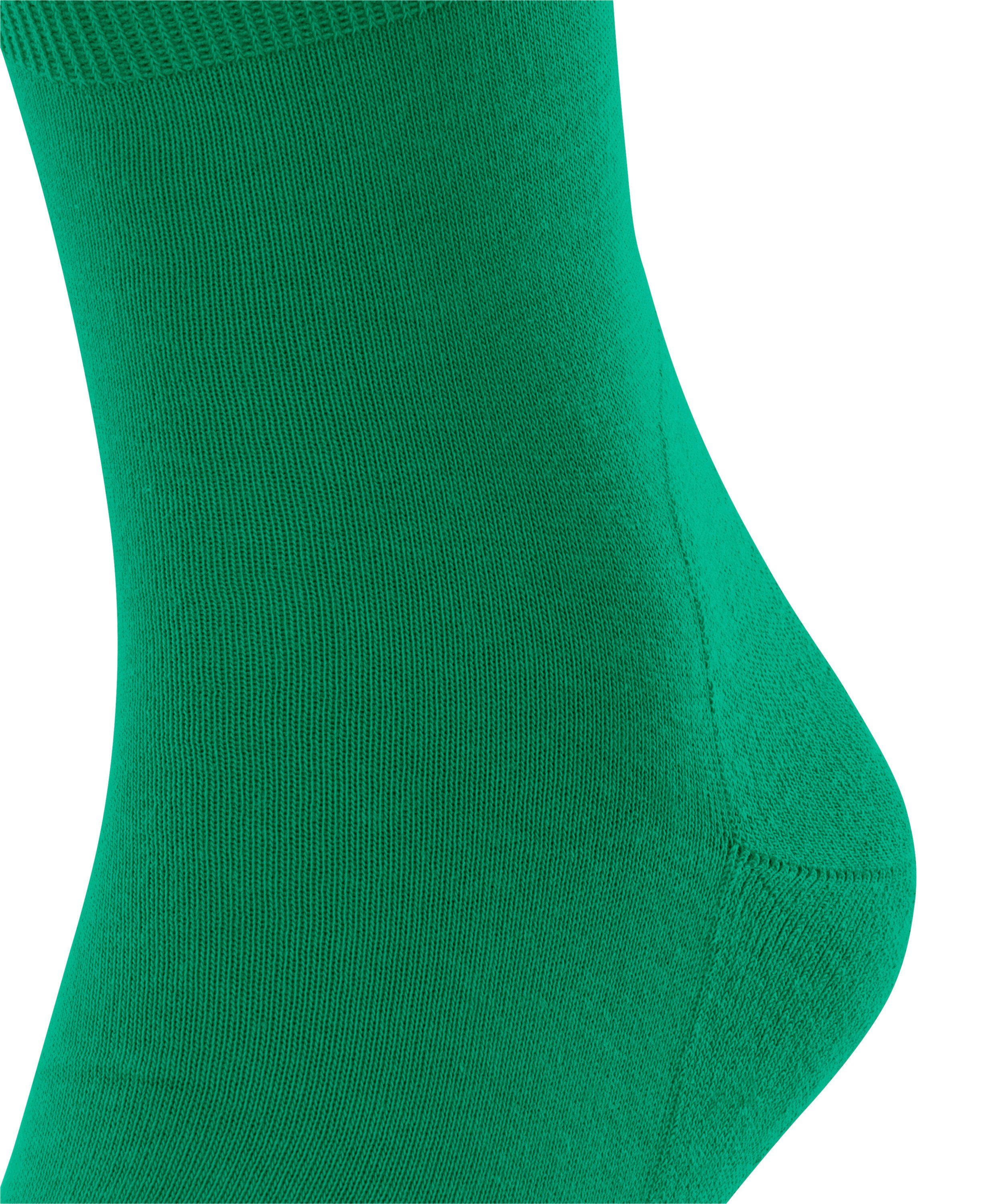 Run (1-Paar) (7437) Socken FALKE emerald