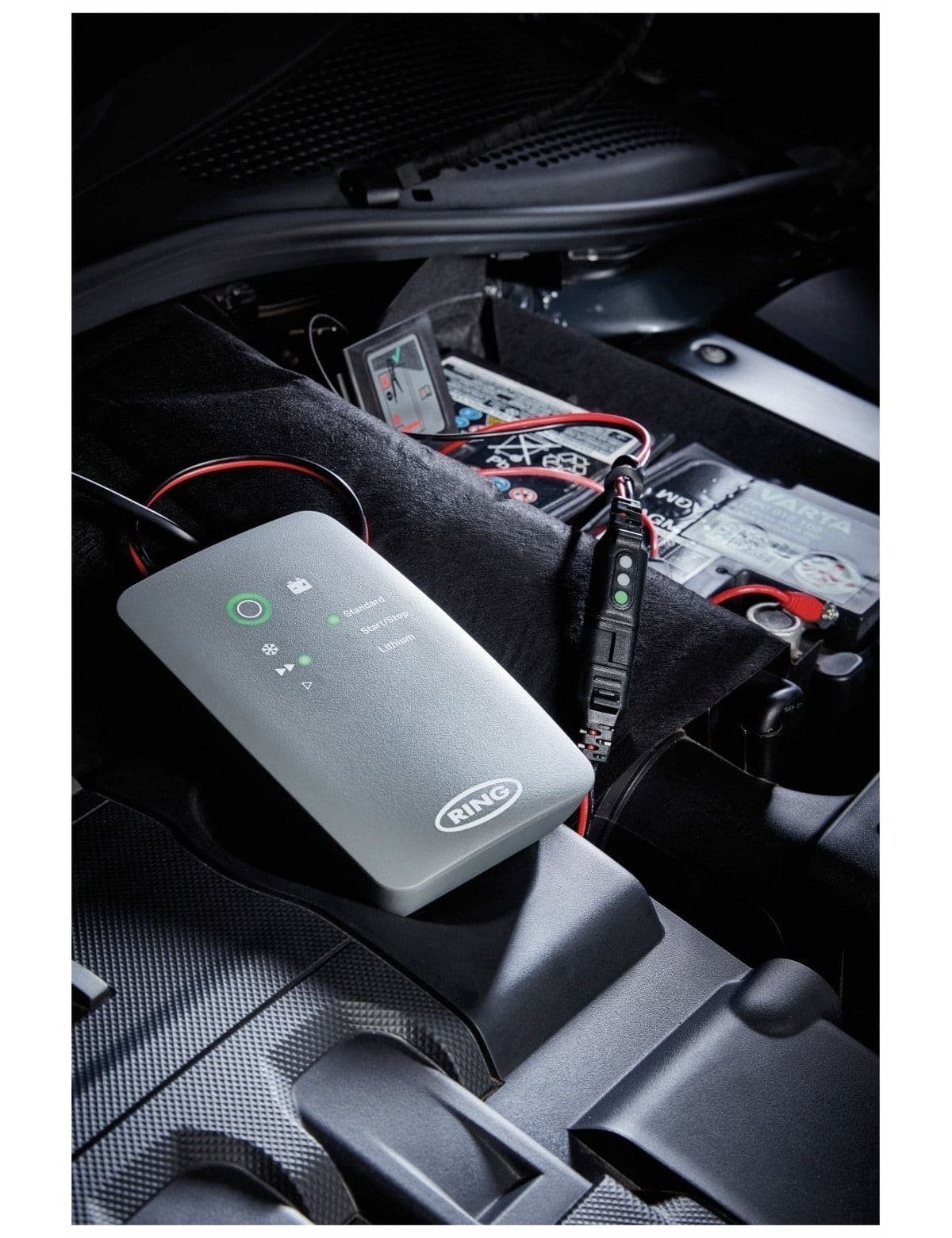 RING Batterie-Überwachungsstecker Batterie AUTOMOTIVE Ring Automotive