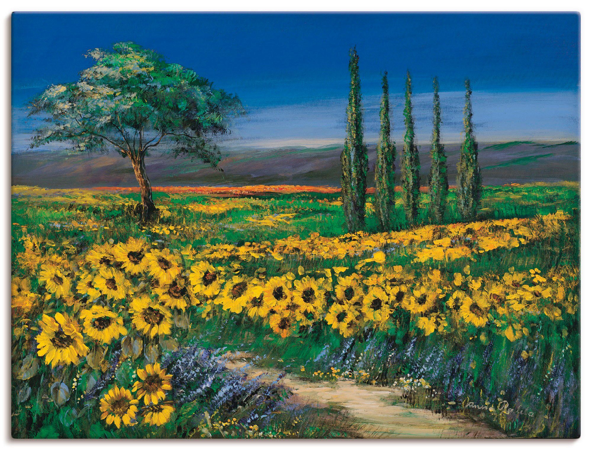 Artland Wandbild Sonnenblumenfeld, Blumen (1 St), als Leinwandbild, Wandaufkleber oder Poster in versch. Größen