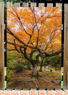 Wallario Sichtschutzzaunmatten Gelber Ahornbaum im Herbst in Japan