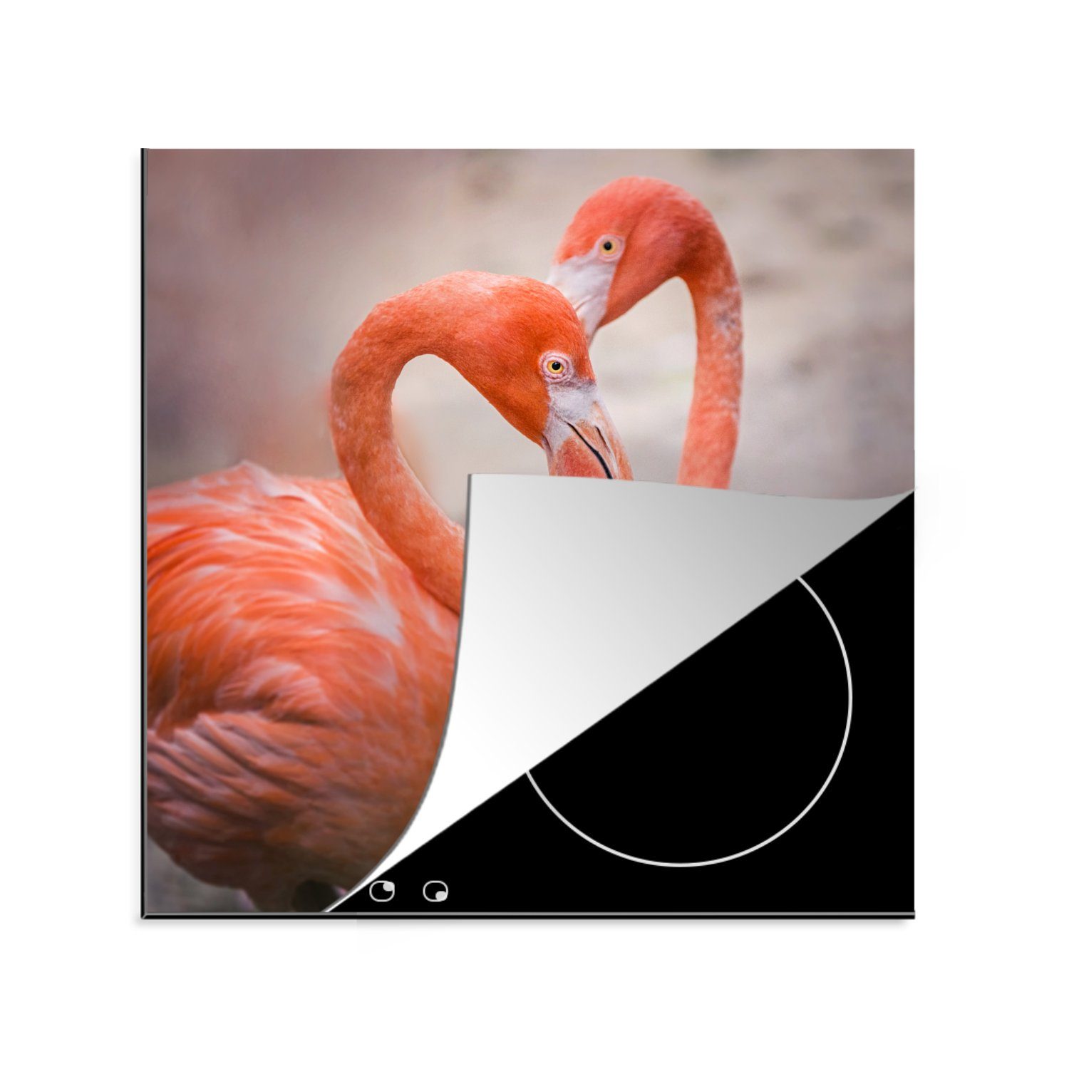bilden mit Hälsen Vinyl, (1 Herdblende-/Abdeckplatte ihren 78x78 Herz, tlg), ein Ceranfeldabdeckung, cm, Flamingos küche Arbeitsplatte MuchoWow für