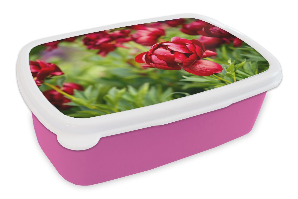 MuchoWow Lunchbox Ein Garten voller für Mädchen, Kunststoff, Erwachsene, Brotdose Pfingstrosen, Snackbox, rosa (2-tlg), Brotbox Kunststoff Kinder, roter
