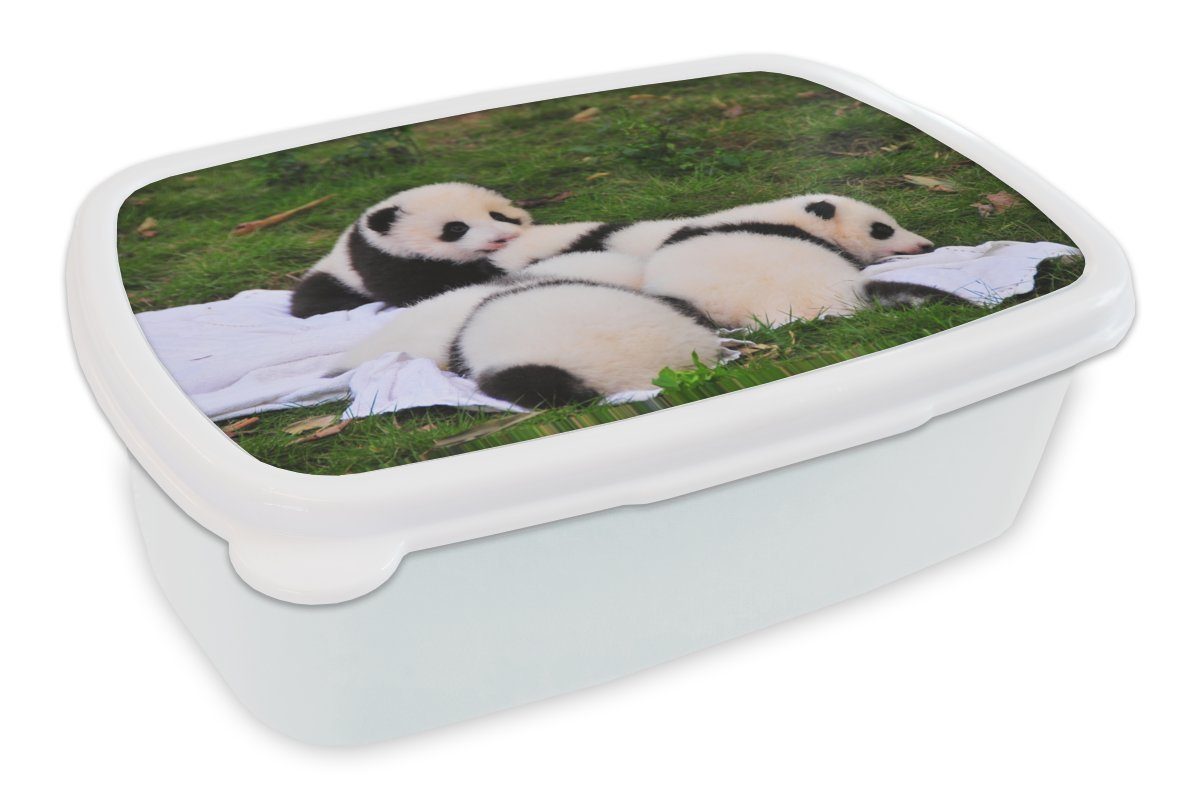 MuchoWow Lunchbox Pandas - Gras - Decke, Kunststoff, (2-tlg), Brotbox für Kinder und Erwachsene, Brotdose, für Jungs und Mädchen weiß | Lunchboxen