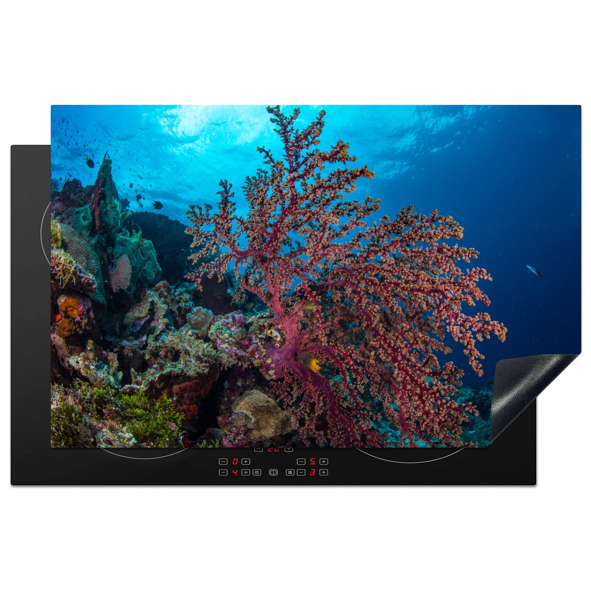 Nahaufnahme Wakatobi-Nationalpark, Vinyl, für küche, MuchoWow 81x52 tlg), Ceranfeldabdeckung Schutz Herdblende-/Abdeckplatte (1 cm, Induktionskochfeld im einer Koralle die