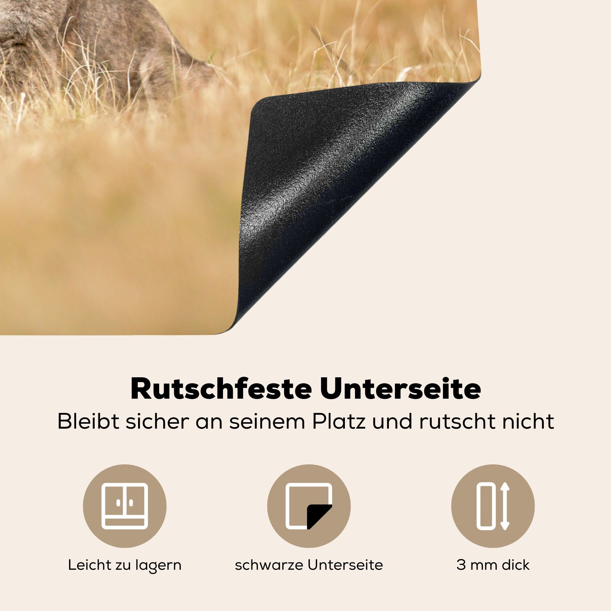 MuchoWow Herdblende-/Abdeckplatte Tiere - - Ceranfeldabdeckung Induktionskochfeld Schutz Puma Vinyl, tlg), die (1 küche, für Liebe, 81x52 cm