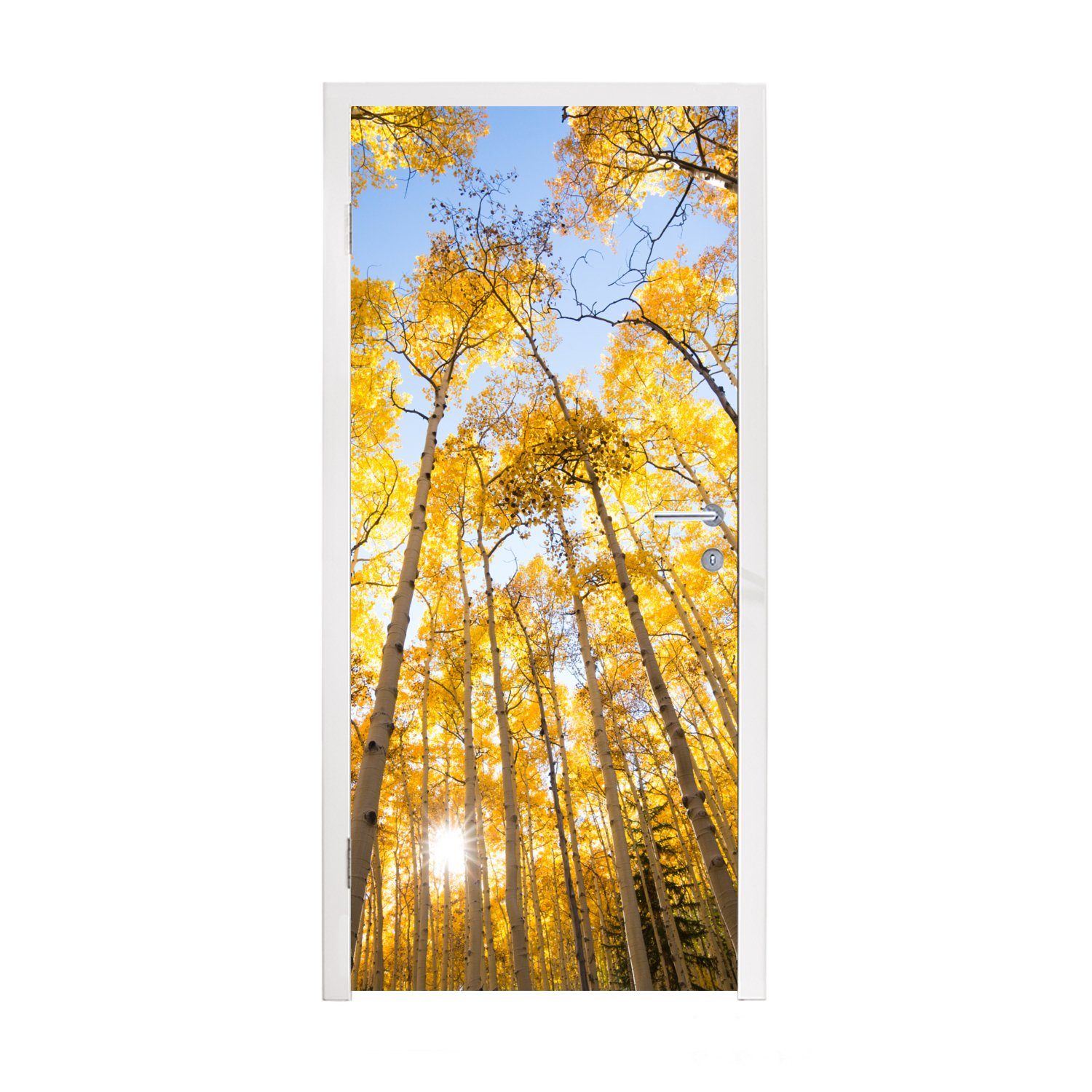 MuchoWow Türtapete Herbst - Bäume - Wald, Matt, bedruckt, (1 St), Fototapete für Tür, Türaufkleber, 75x205 cm