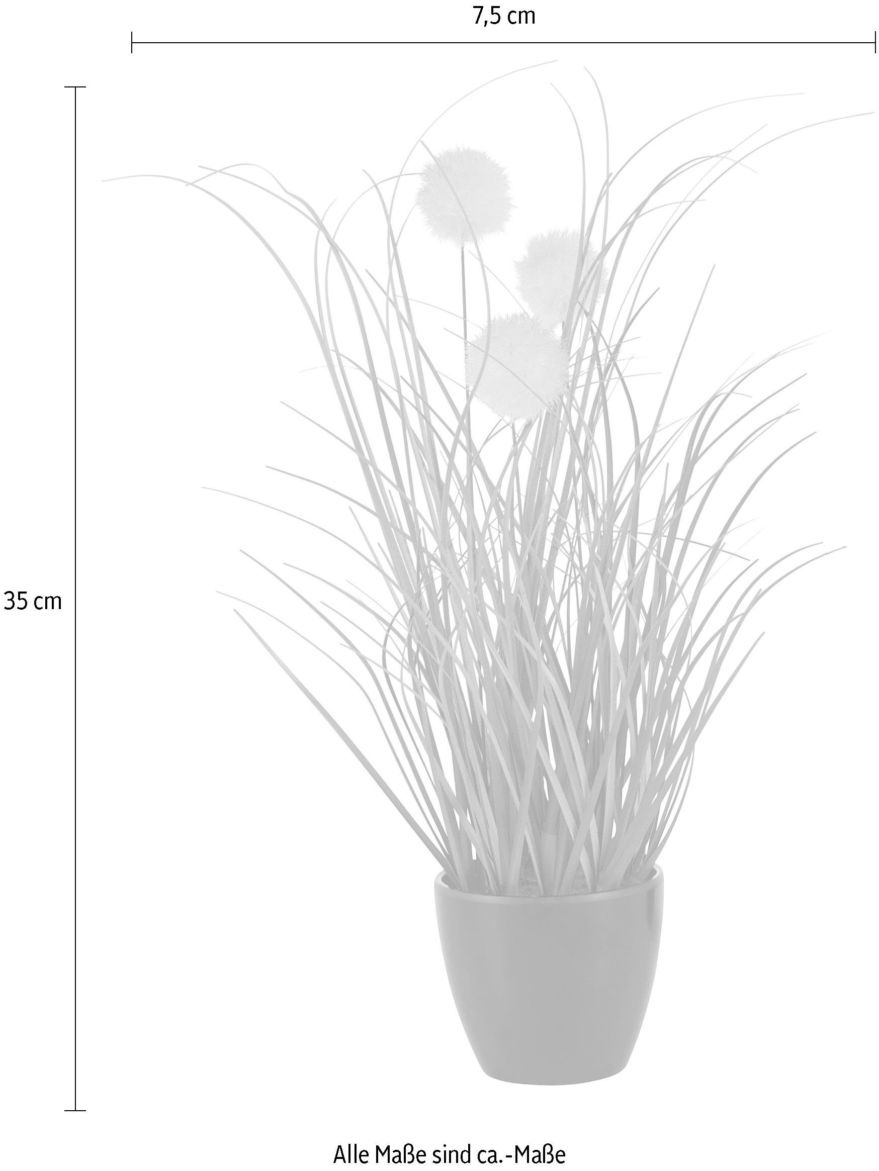 Kunstgras Grasbusch, naturgetreue Kunstpflanze, 35cm hoch, OTTO home, Höhe 35 cm, im 3 teiligen Set, mit Übertopf wahlweise in schwarz oder weiß