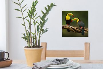 OneMillionCanvasses® Leinwandbild Vögel - Tukan - Zweig - Tiere - Regenbogen, (1 St), Leinwand Bilder für Wohnzimmer Schlafzimmer