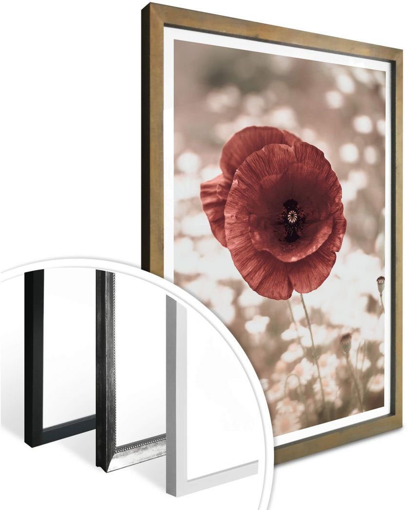 Blumen Wall-Art Poster Portrait, (1 St) Mohnblumen