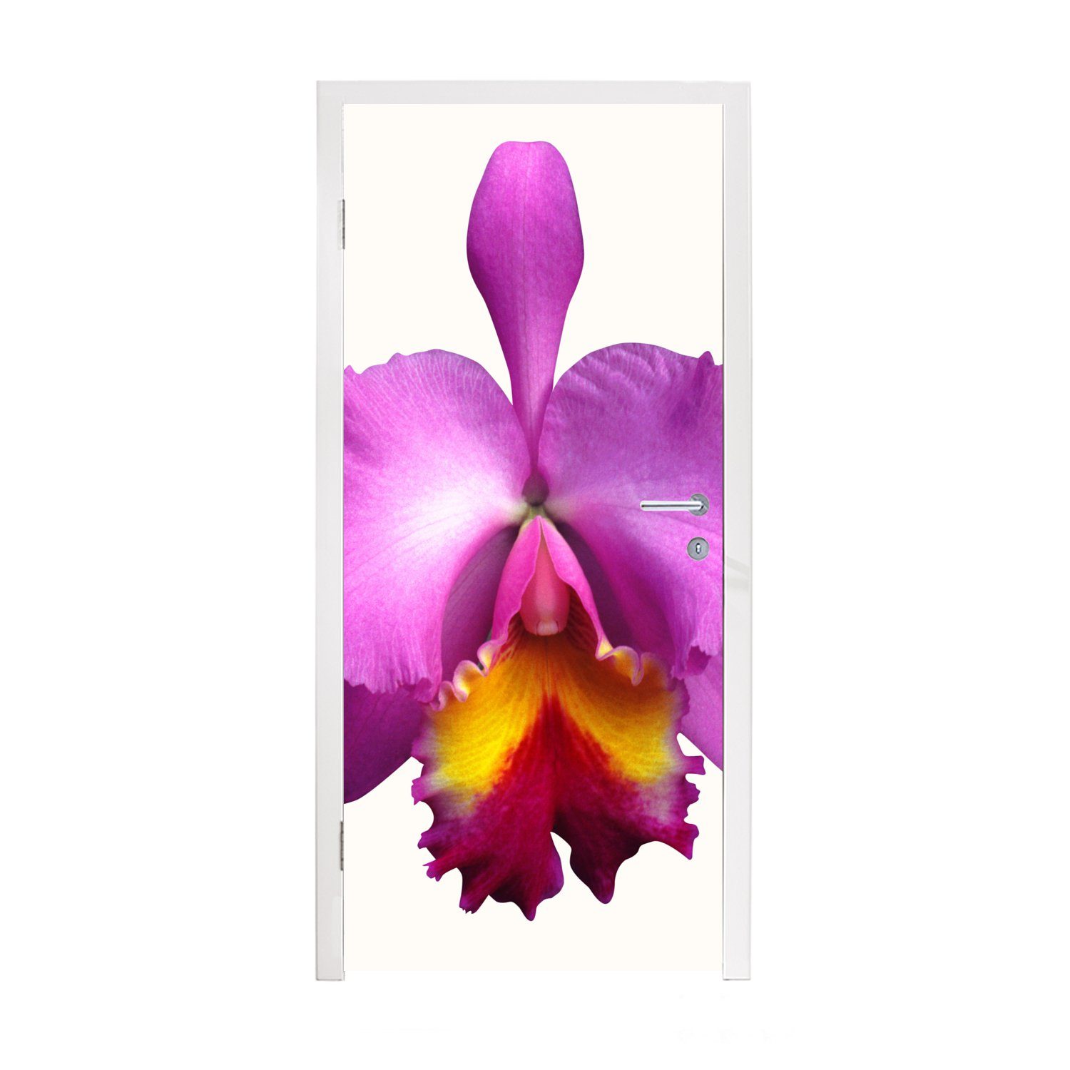 Fototapete MuchoWow Tür, cm bedruckt, (1 75x205 für Türtapete Matt, Türaufkleber, Nahaufnahme St), Orchidee,