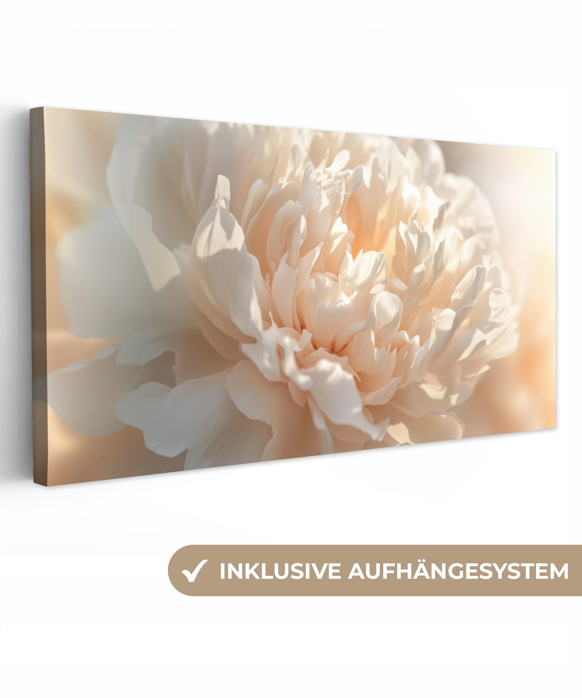 OneMillionCanvasses® Leinwandbild Panorama Nahaufnahme - Pfingstrose - Hell günstig online kaufen