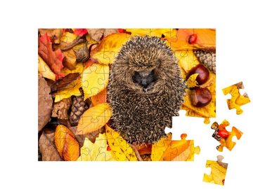 puzzleYOU Puzzle Eingerollter Igel, schlafend im Herbstlaub, 48 Puzzleteile, puzzleYOU-Kollektionen Igel, Tiere in Wald & Gebirge