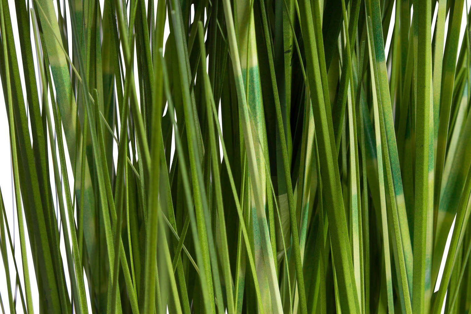 Kunstgras »Gras Festuca im Topf« Gras, Botanic-Haus, Höhe 115 cm-HomeTrends