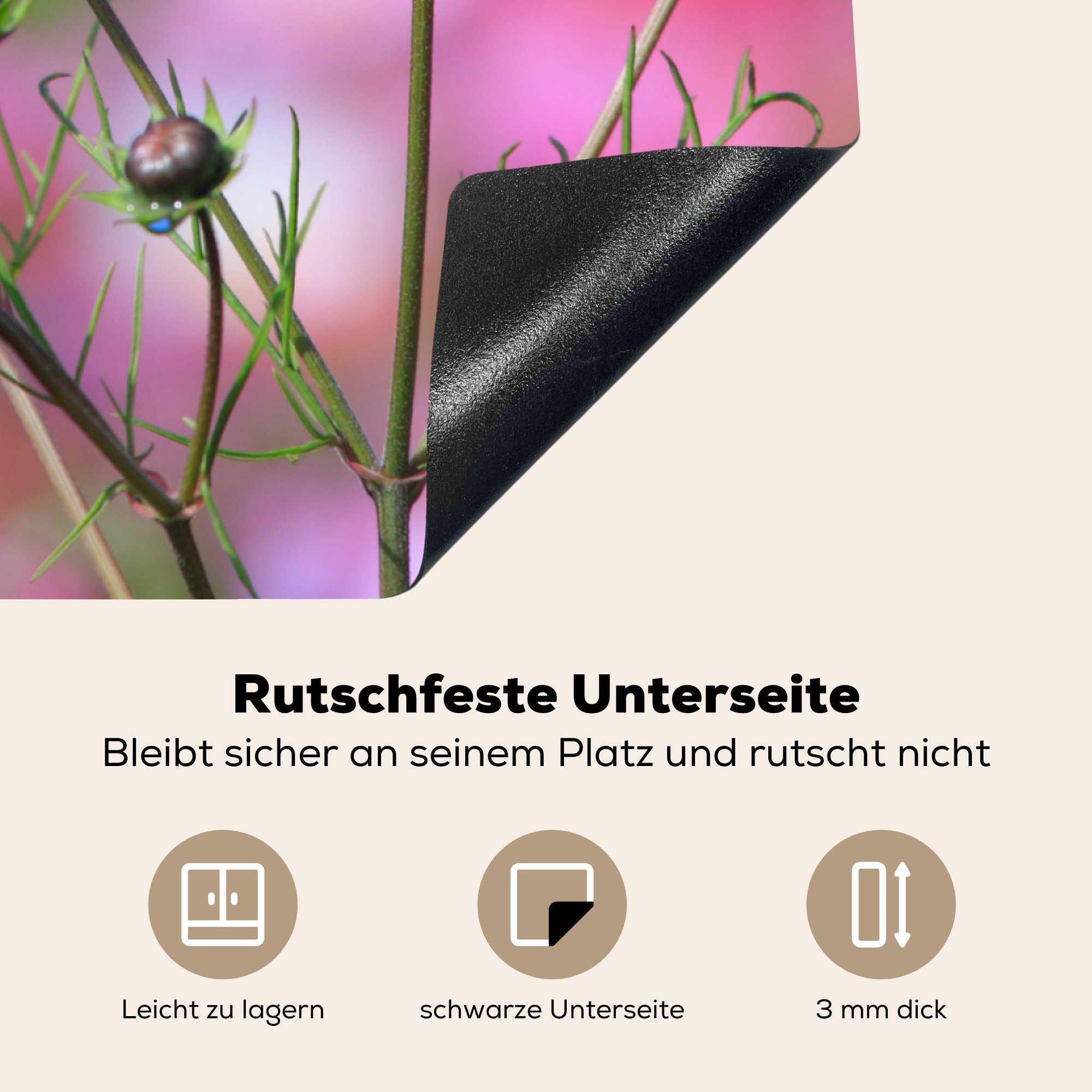 Rosa, (1 Herdblende-/Abdeckplatte cm, küche - Draußen MuchoWow tlg), für Ceranfeldabdeckung, - Arbeitsplatte Blumen 78x78 Vinyl,