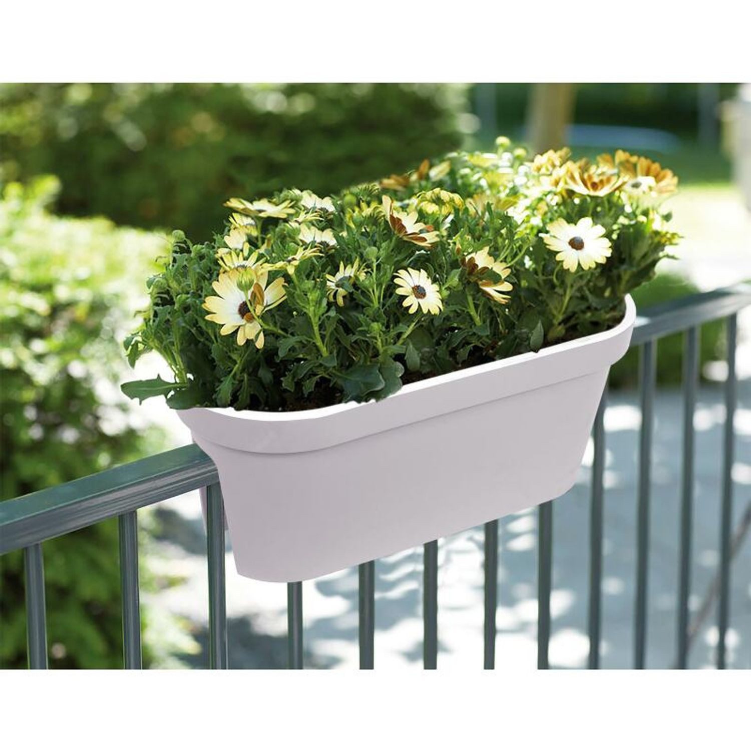 Jelenia Plast Blumenkasten Pflanztopf Geländer Pastell günstig online kaufen