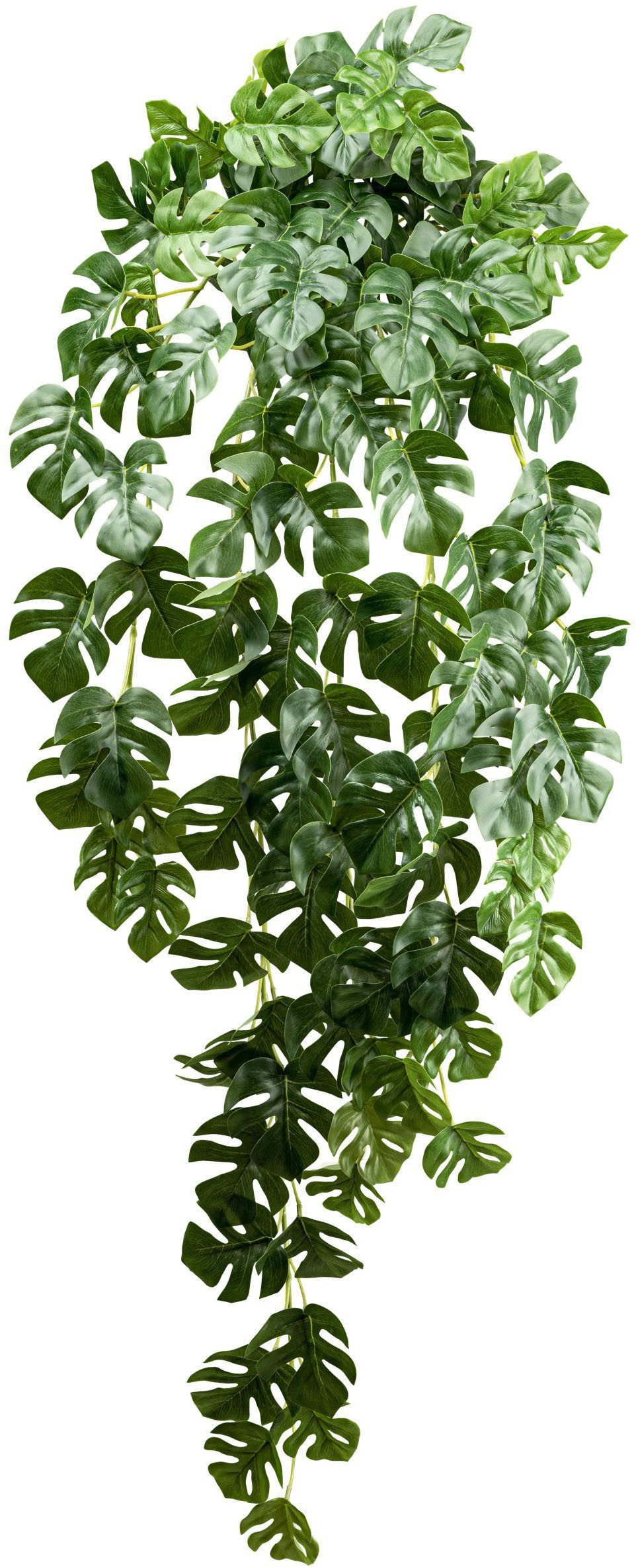 Künstliche Zimmerpflanze Splitphilodendron-Hängepflanze Grünpflanze, Creati günstig online kaufen