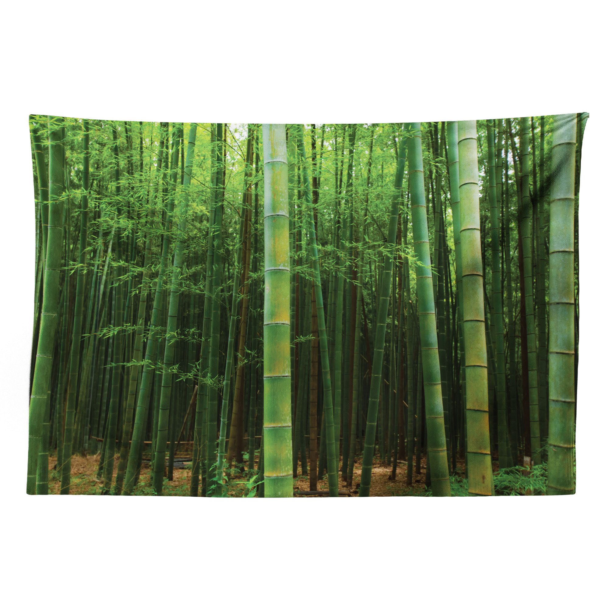 Abakuhaus Wandteppich aus Weiches Mikrofaser Stoff Für das Wohn und Schlafzimmer, rechteckig, Grün Exotische Bambus-Wald