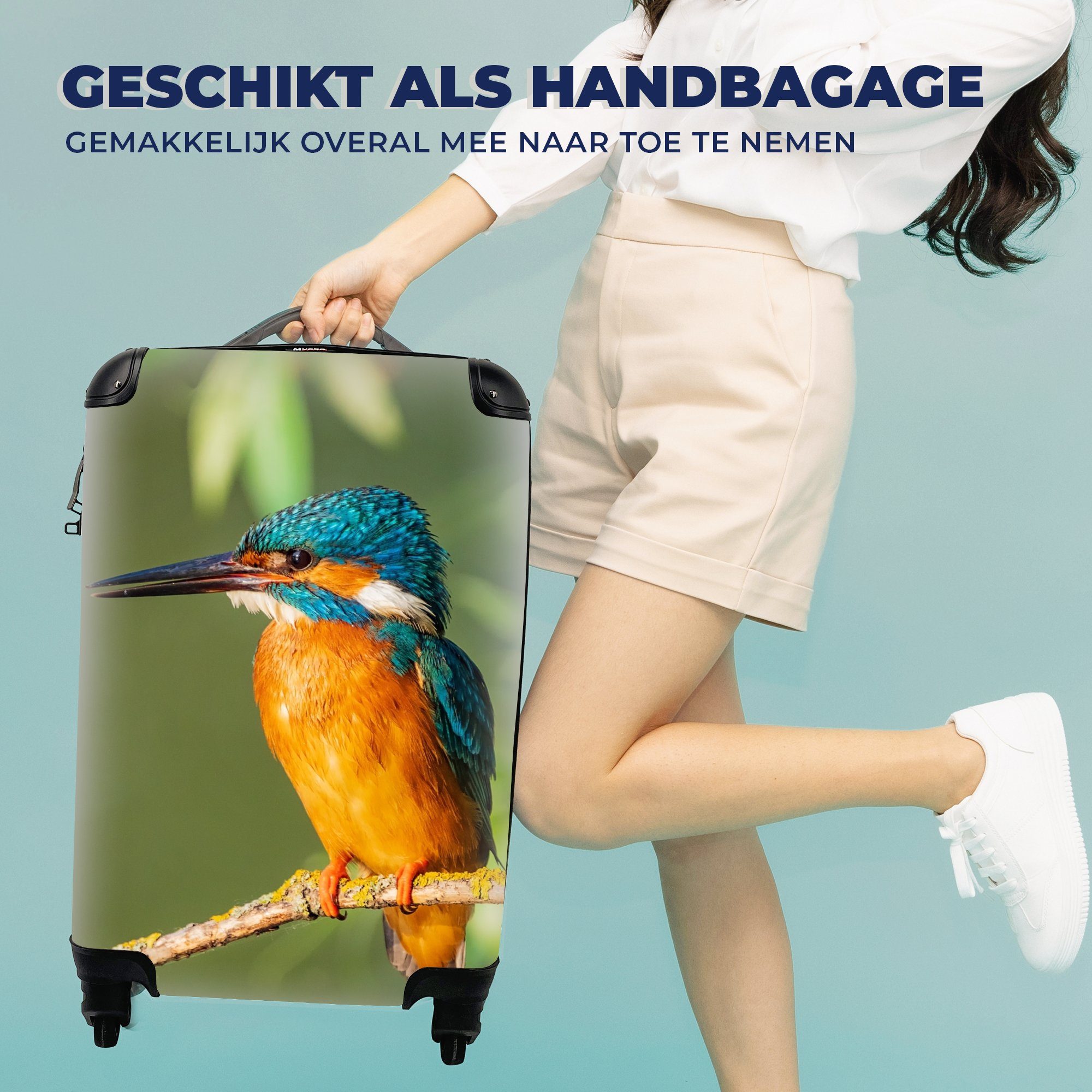- Eisvogel Handgepäck 4 Ferien, Rollen, Moos, MuchoWow Trolley, Reisetasche Handgepäckkoffer rollen, für Zweig - Vogel Reisekoffer Blätter mit - -