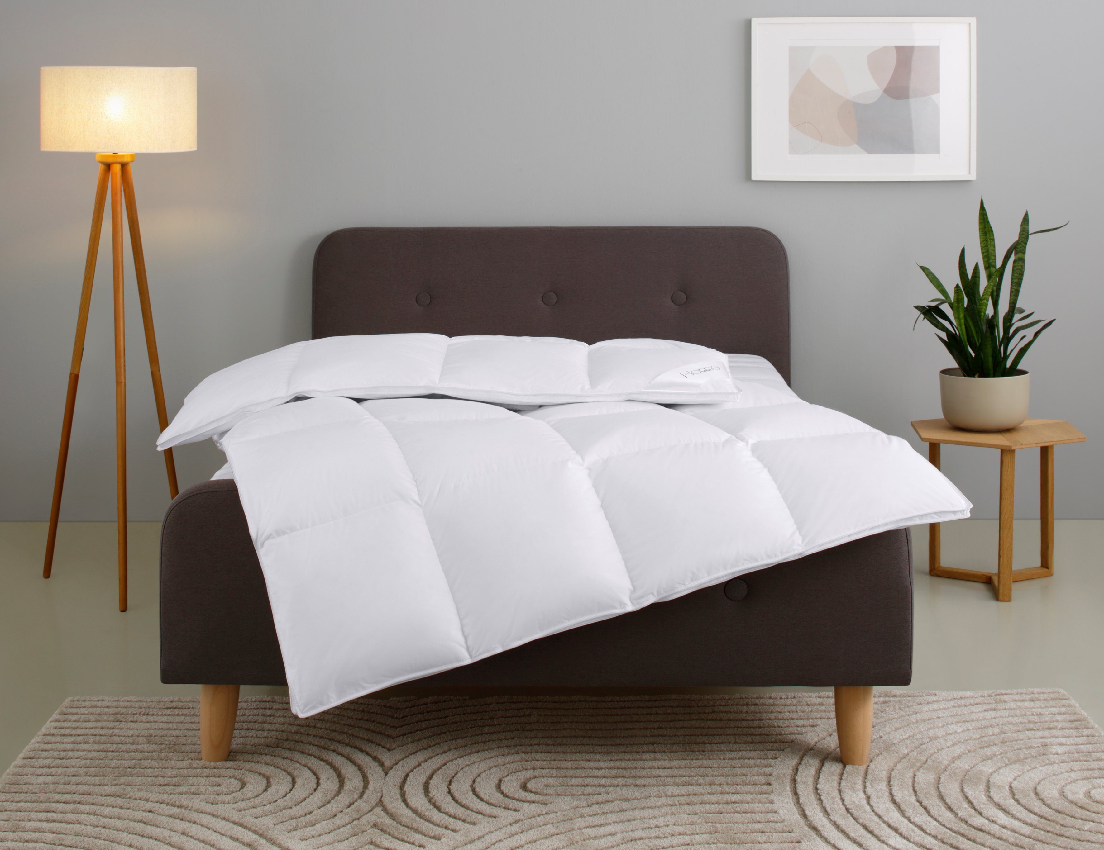 Home affaire Daunenbettdecke Litrone, Bettdecke 135x200 günstig online kaufen