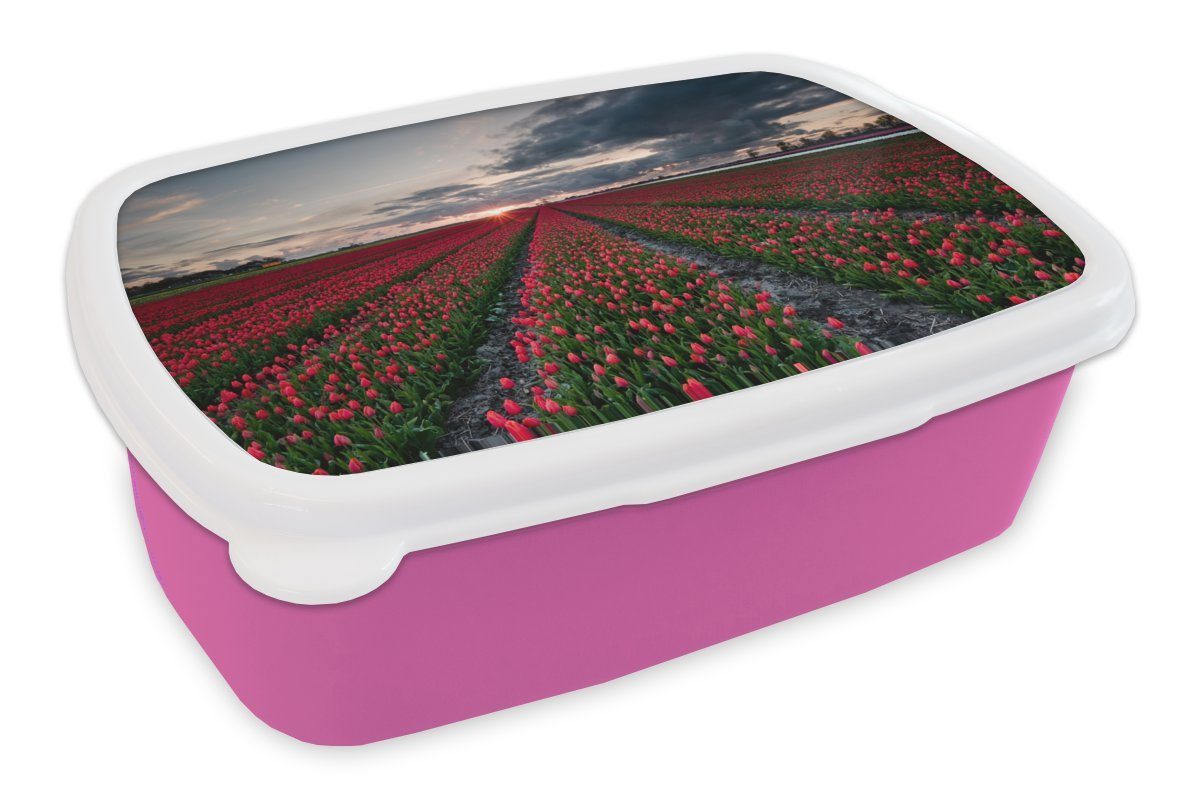 Brotdose Nordosten rotes Mädchen, Kunststoff, Lunchbox der Erwachsene, rosa Ein Niederlande, für MuchoWow im Brotbox Kinder, (2-tlg), Tulpenfeld Snackbox, Kunststoff