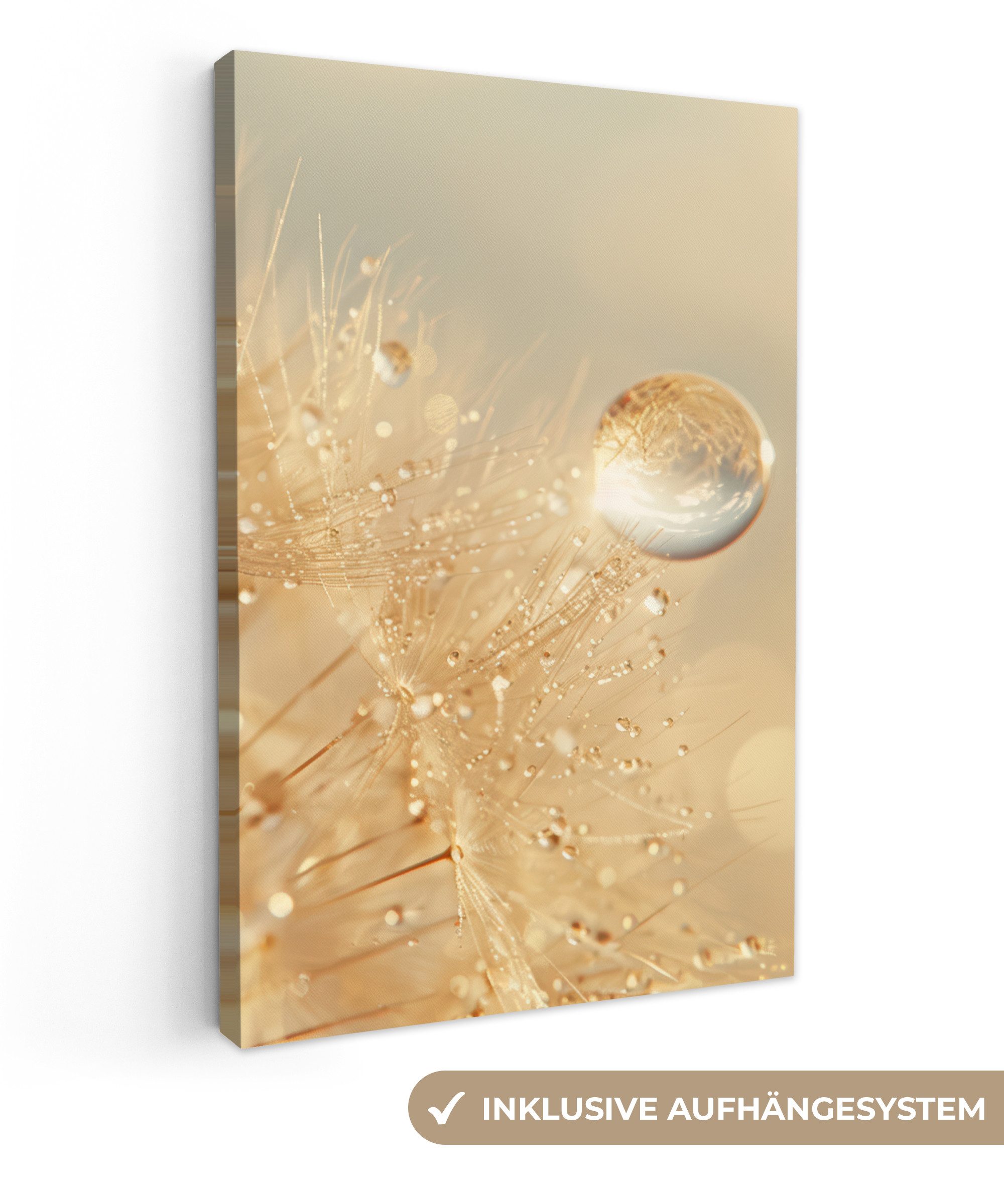Leinwandbild Löwenzahn - Wasser - Natur - Pflanzen - Modern