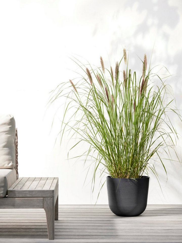 Thumbnail - ECOPOTS Blumentopf Oslo 25 + Wassersystem Dunkelgrau, für innen und außen: frostsicher, bruchsicher und lichtbeständig