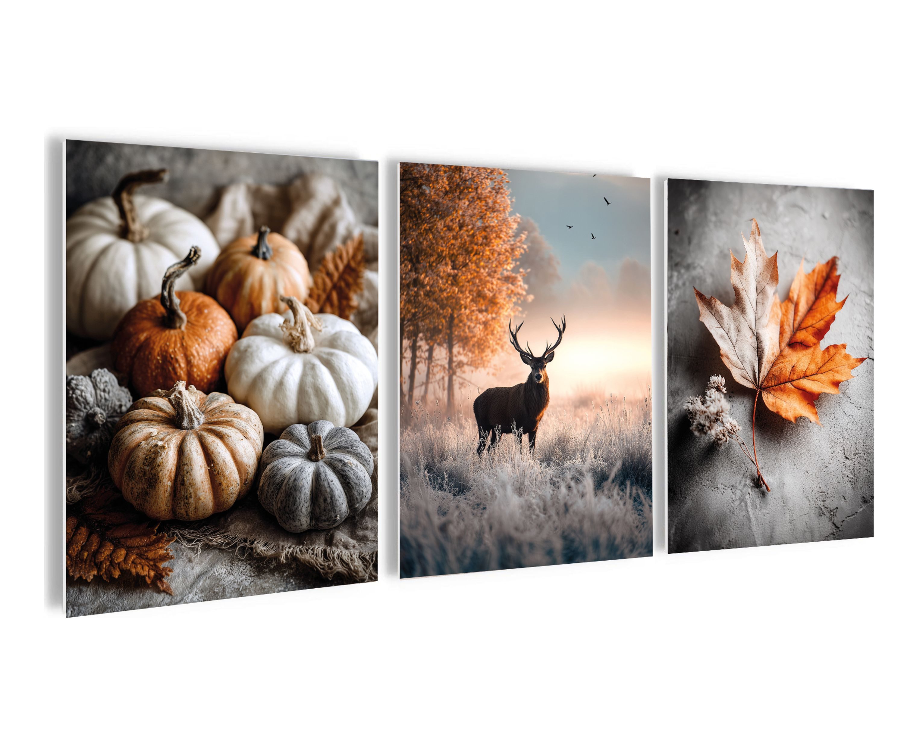 artissimo Mehrteilige Bilder Bilderset 3er-Set, Wandbilder-Set natur, Bilderwand Bilder beige weiß, Herbst-Deko: Kürbisse/ Hirsch / Blatt