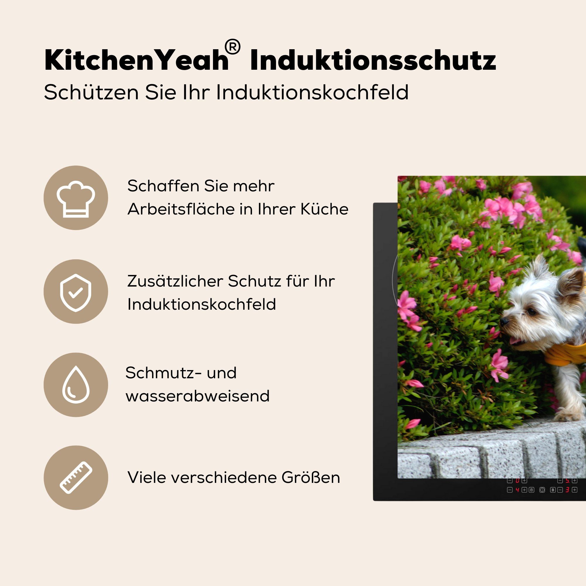 MuchoWow Herdblende-/Abdeckplatte Ein Yorkshire Terrier Ceranfeldabdeckung, küche für Blumen Arbeitsplatte vorbei, tlg), (1 Vinyl, läuft bunten cm, an 78x78