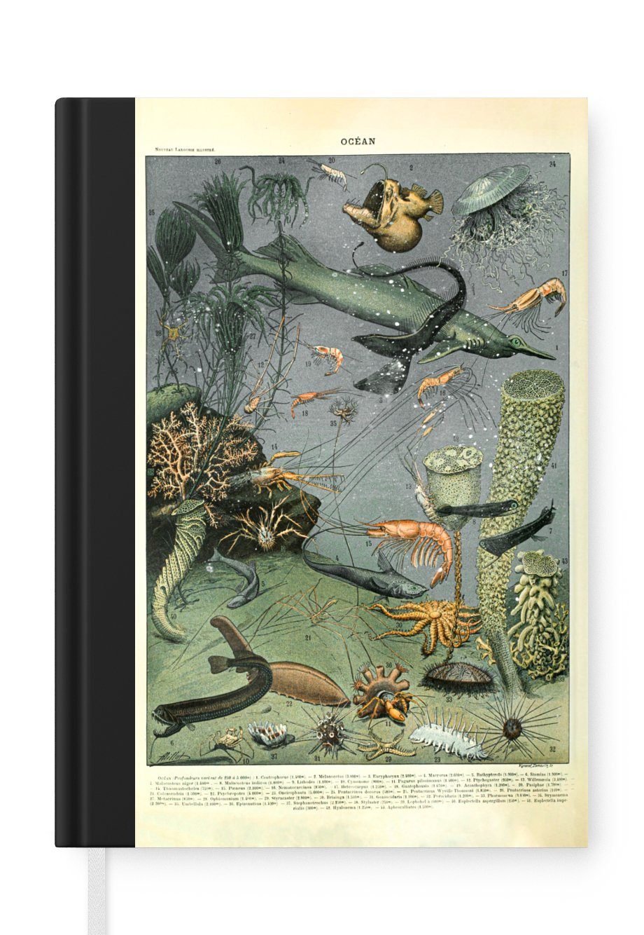 MuchoWow Notizbuch Meerestiere - Korallen - Natur, Journal, Merkzettel, Tagebuch, Notizheft, A5, 98 Seiten, Haushaltsbuch