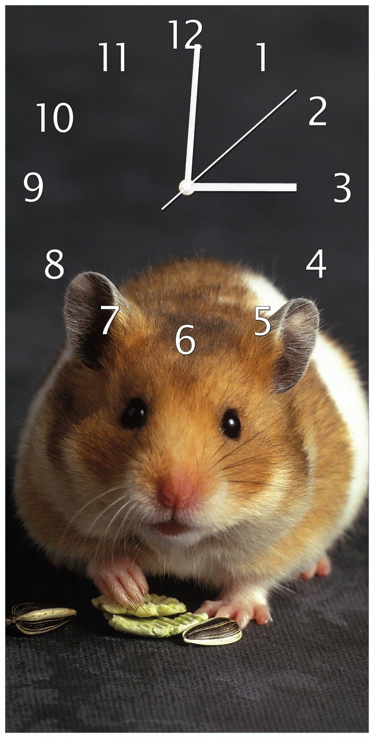 Wallario Wanduhr Putziger Hamster mit Nüssen zwischen den Pfoten (Uhr aus Acryl)
