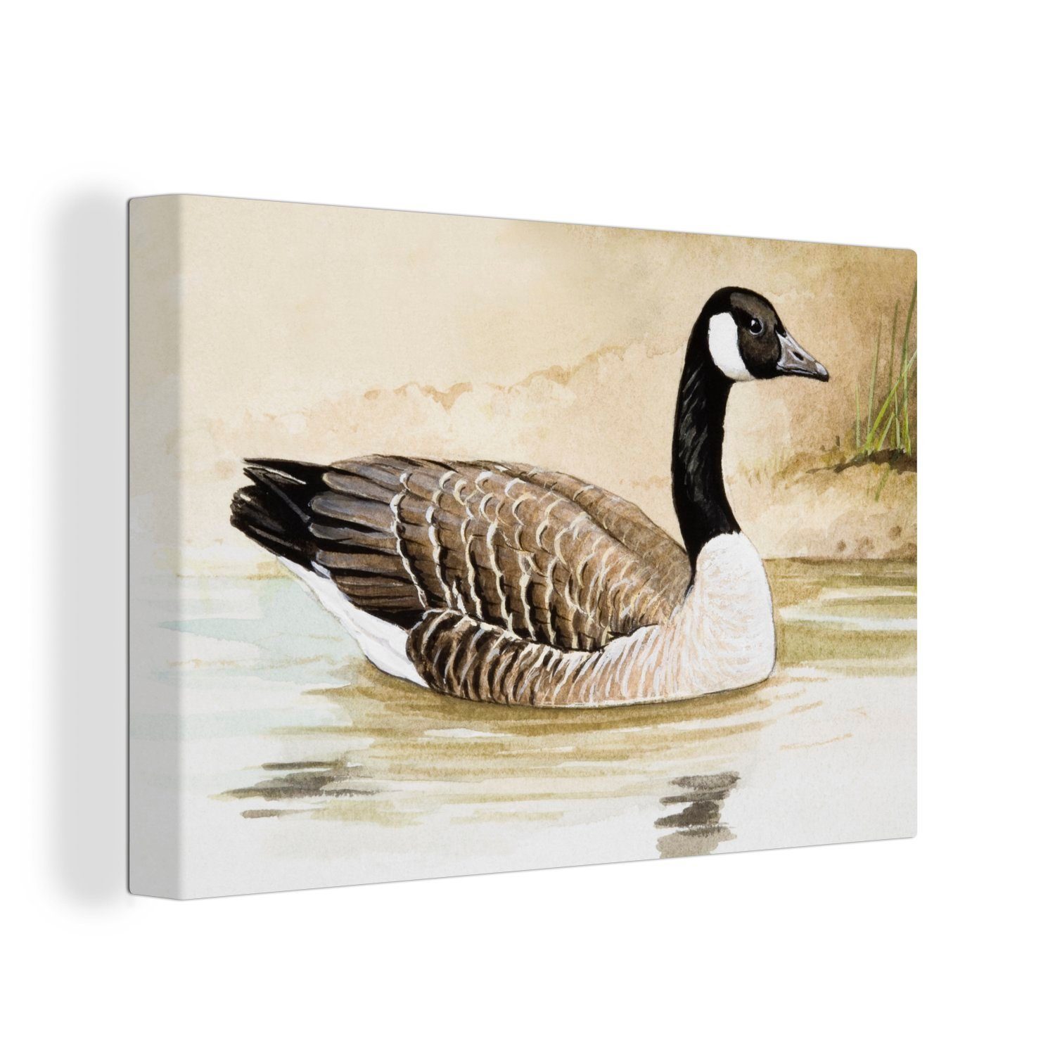 OneMillionCanvasses® Leinwandbild Eine Illustration einer Kanadagans auf dem Wasser, (1 St), Wandbild Leinwandbilder, Aufhängefertig, Wanddeko, 30x20 cm