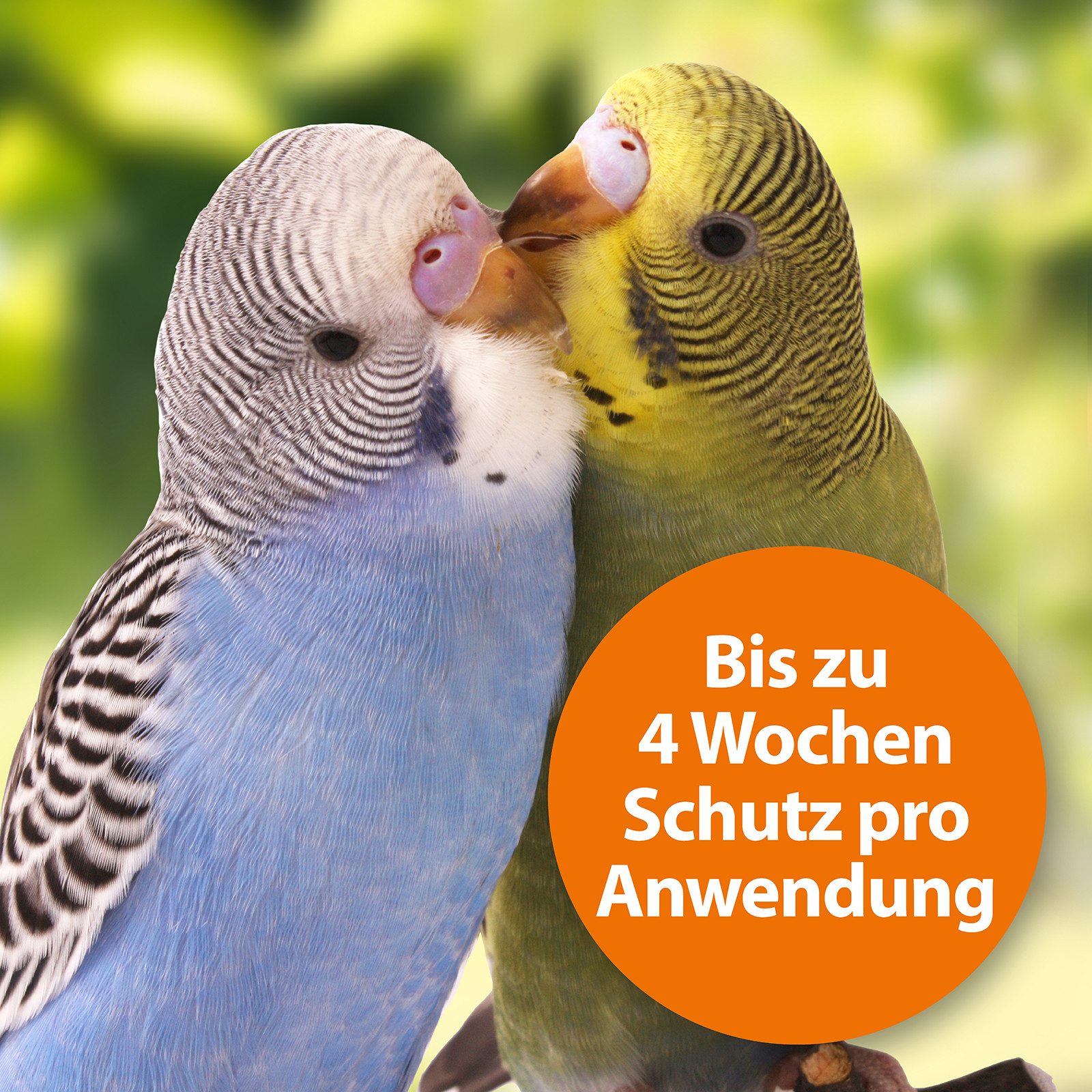 Thumbnail - Ardap Insektenspray ARDAP Spot-On Zecken- und Milbenschutz für Vögel 2x 4,0 ml