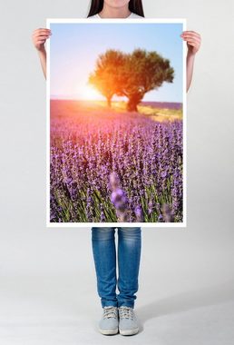 Sinus Art Poster 90x60cm Poster Lavendelfeld in der Provence Frankreich