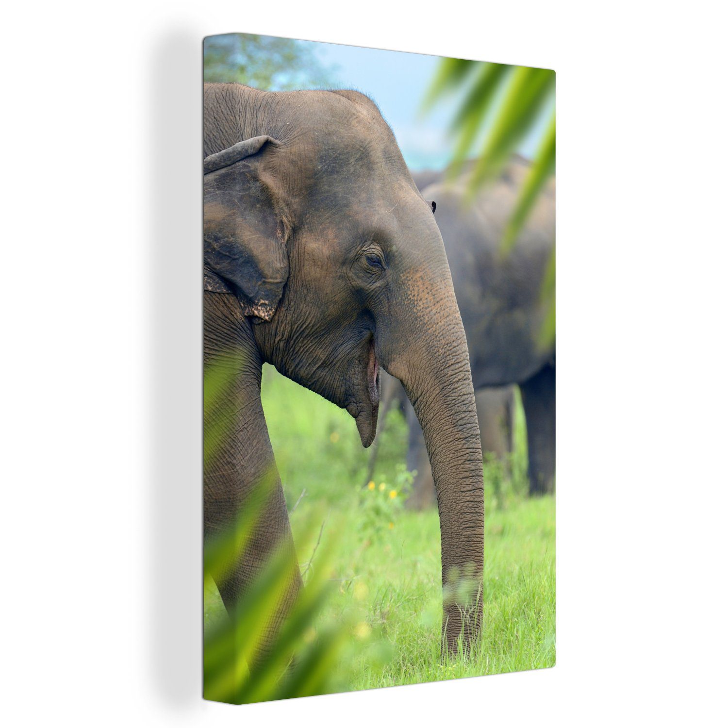 Leinwandbild Tiere, St), Palme Leinwandbild (1 OneMillionCanvasses® Gemälde, 20x30 Zackenaufhänger, fertig bespannt cm - Elefant inkl. -