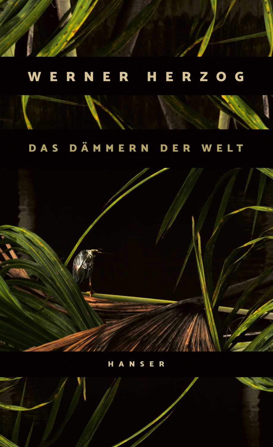 Das Dämmern der Welt / Werner Herzog