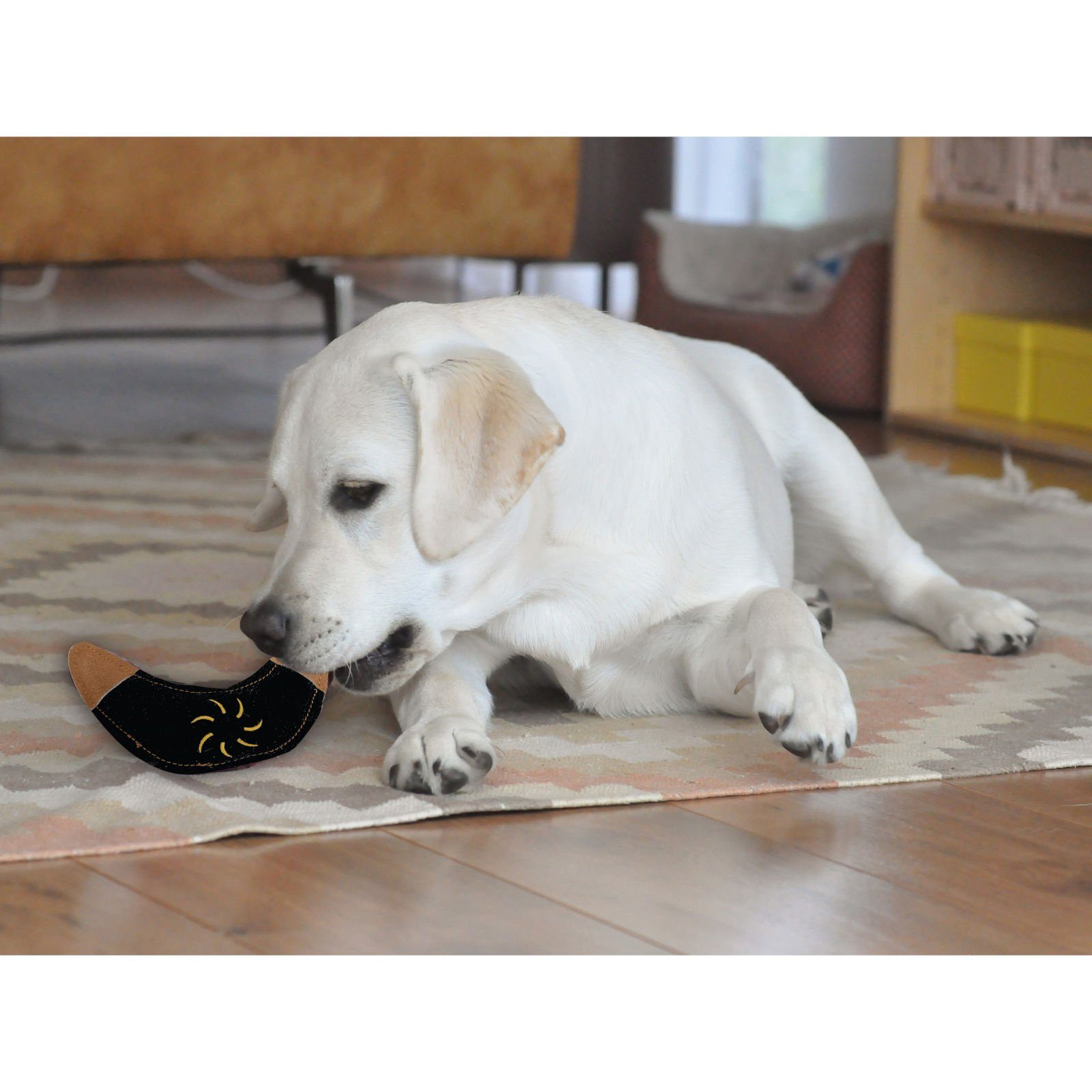Aumüller Tierquietschie Hundespielzeug aus Leder, Boomerang, schwarz