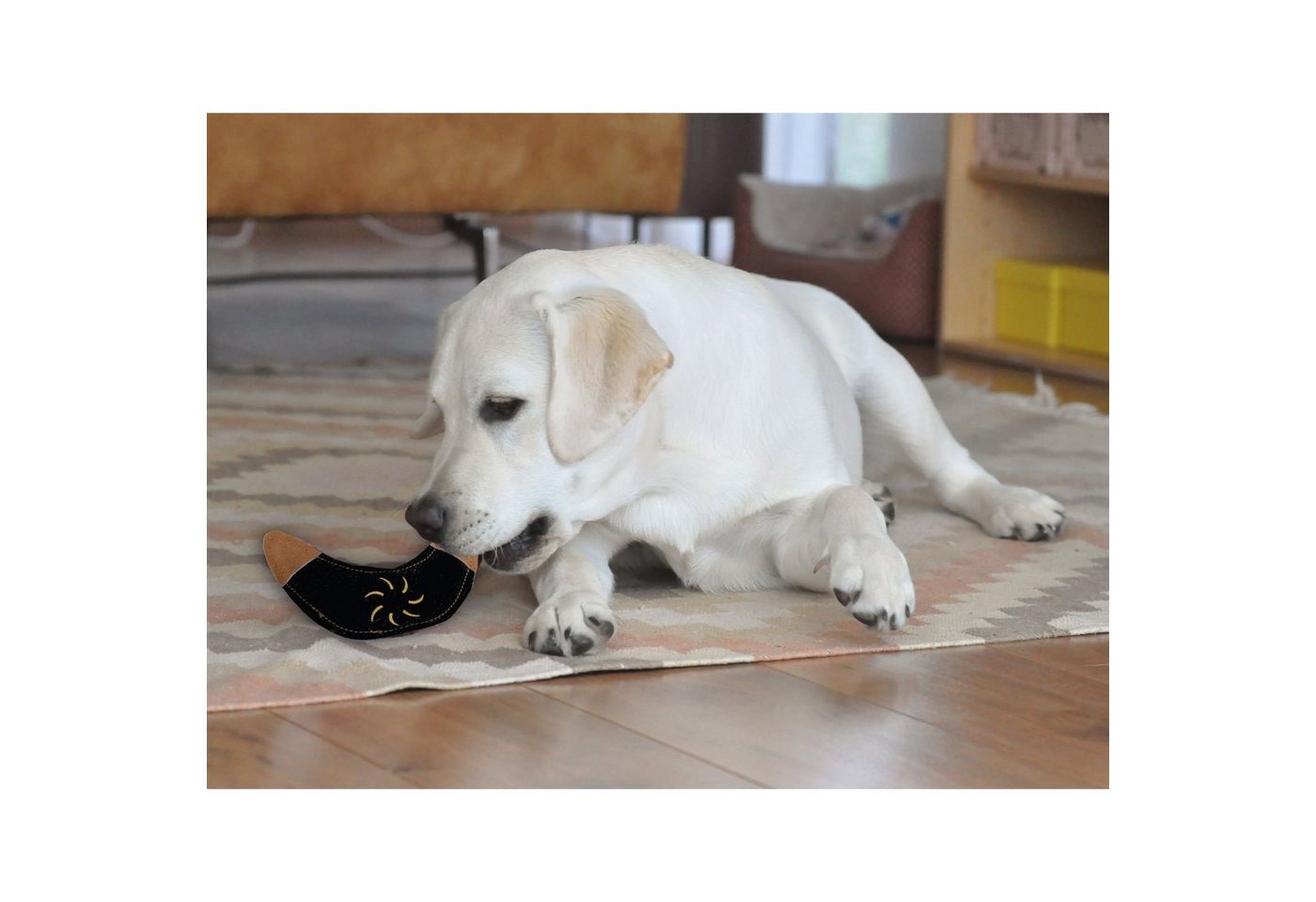 Thumbnail - Aumüller Tierquietschie Hundespielzeug aus Leder, Boomerang, schwarz