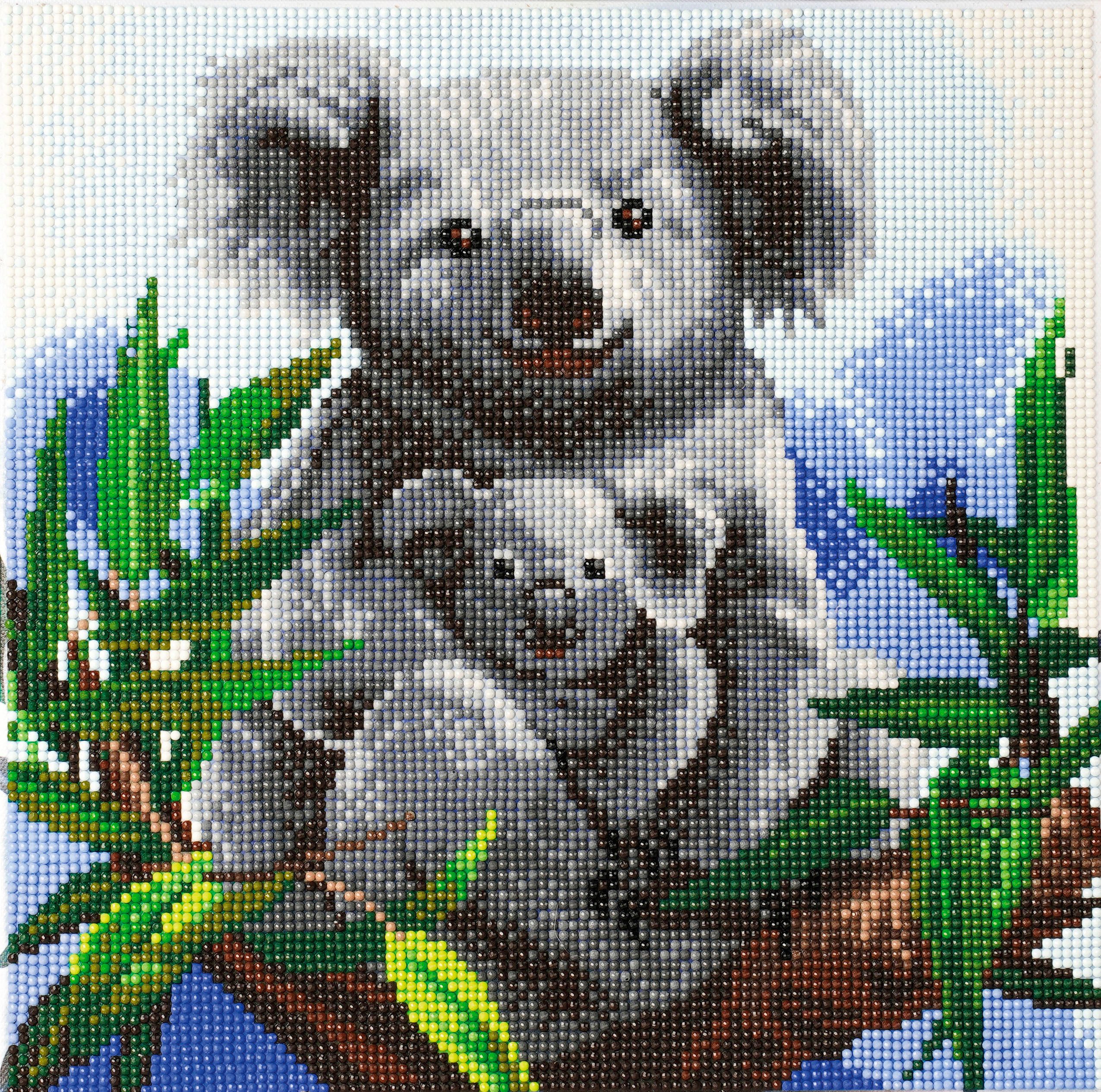 CRAFT Buddy Kreativset Crystal Art, Koalas
